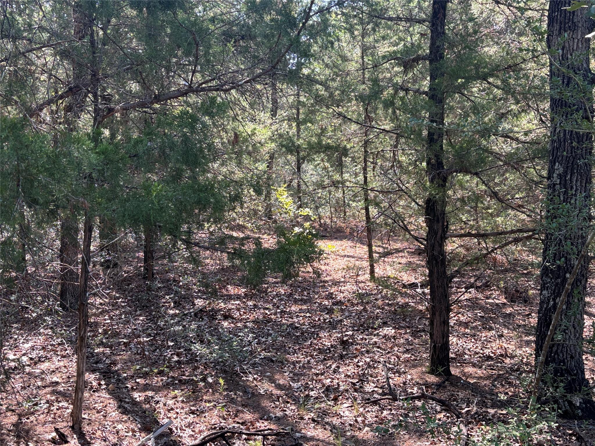 667 Paint Creek South Rd Property Photo 9