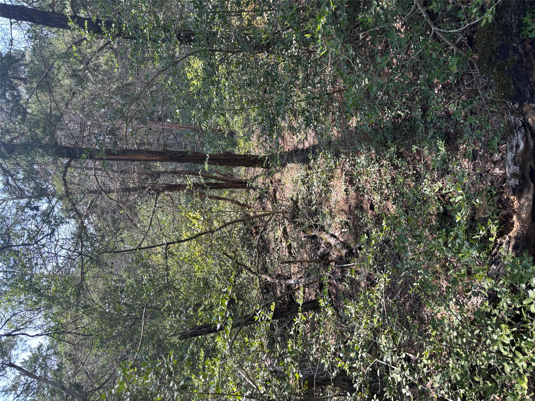 667 Paint Creek South Rd Property Photo 15