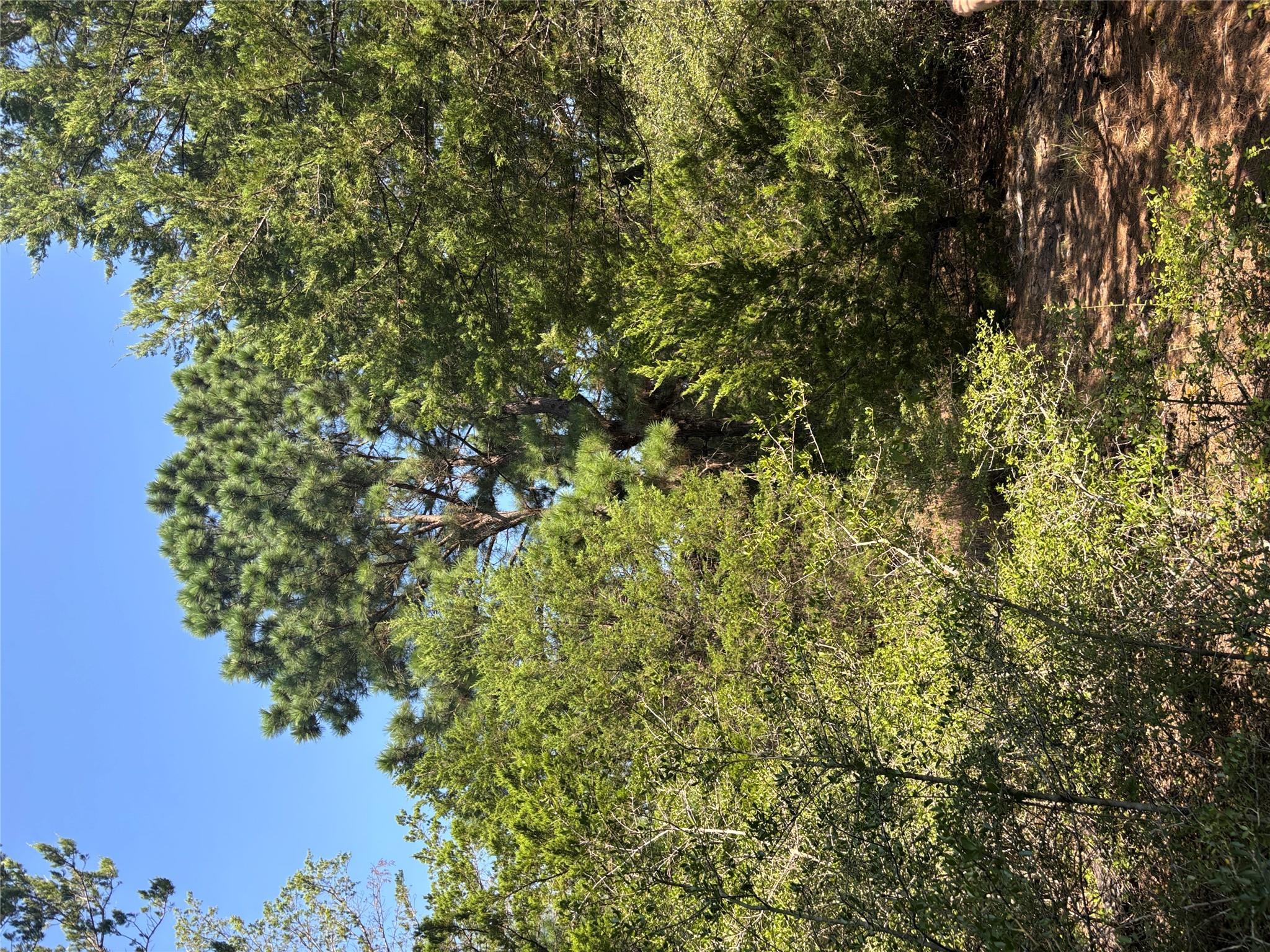 667 Paint Creek South Rd Property Photo 18