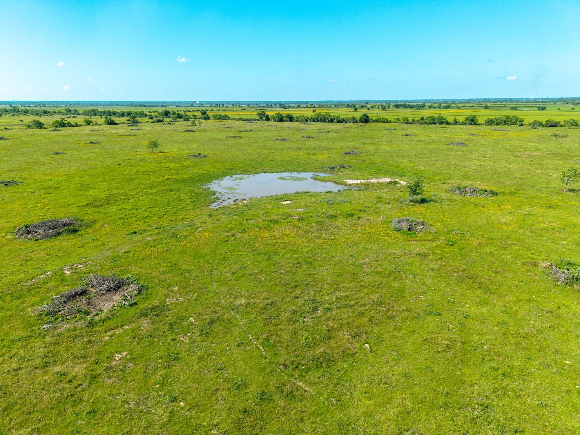 1929 Fm 2761 None Property Photo 16