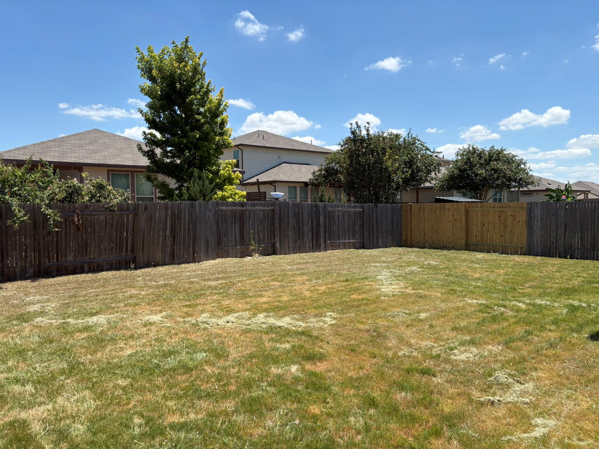 8113 Rosano St Property Photo 18