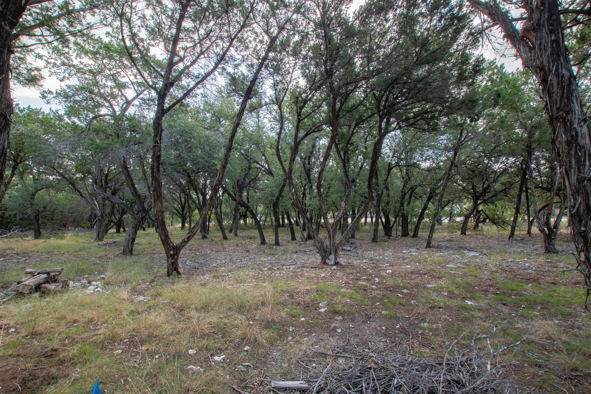 17713 Maritime Point Dr Property Photo 4