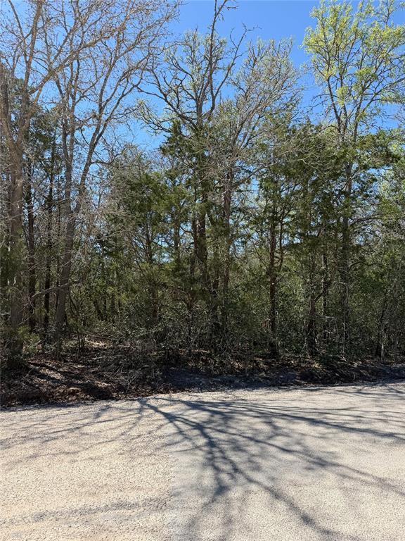 Lot 538 Iva Ln Property Photo 1