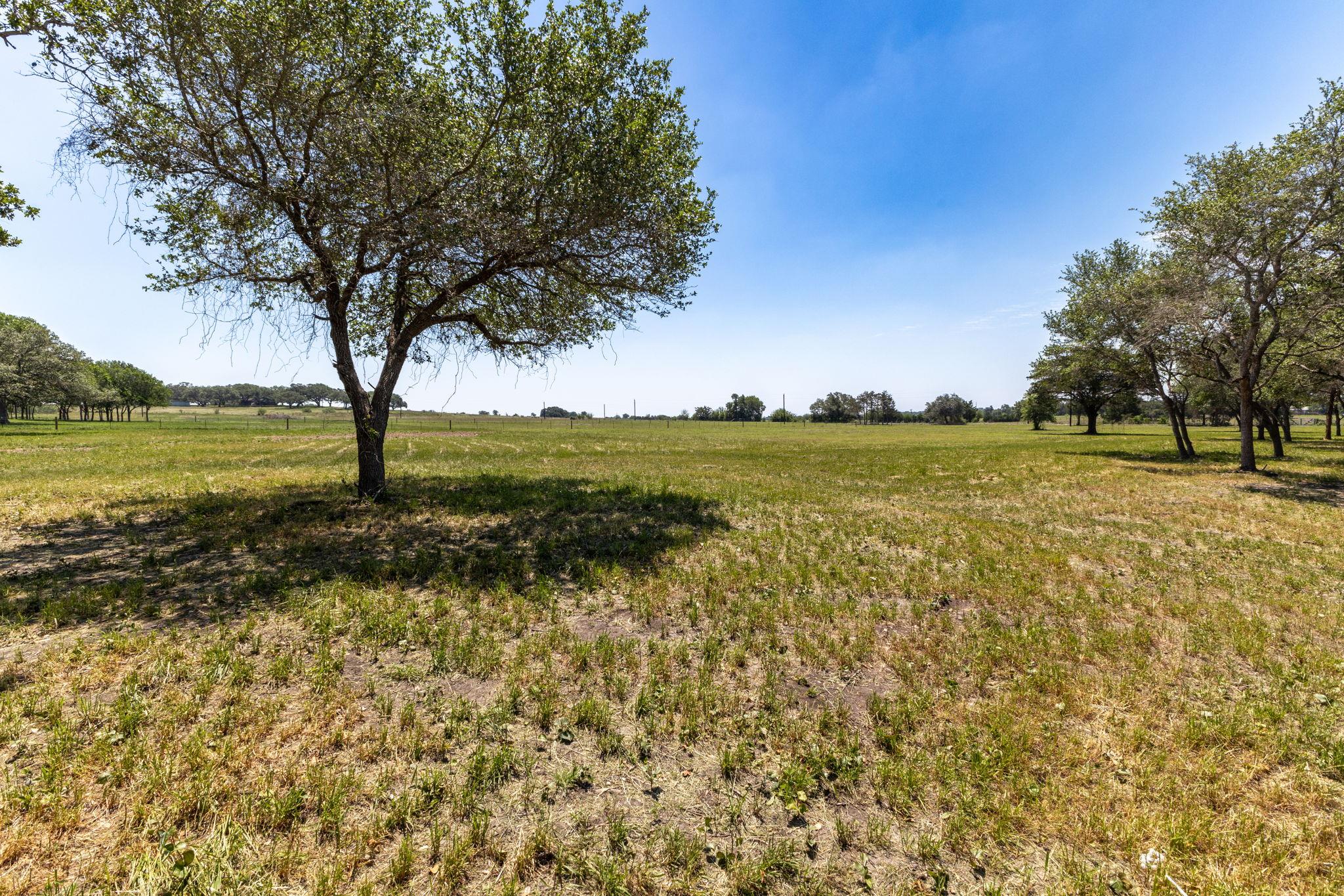 2088 (tract #3) Baca Loop Property Photo 6