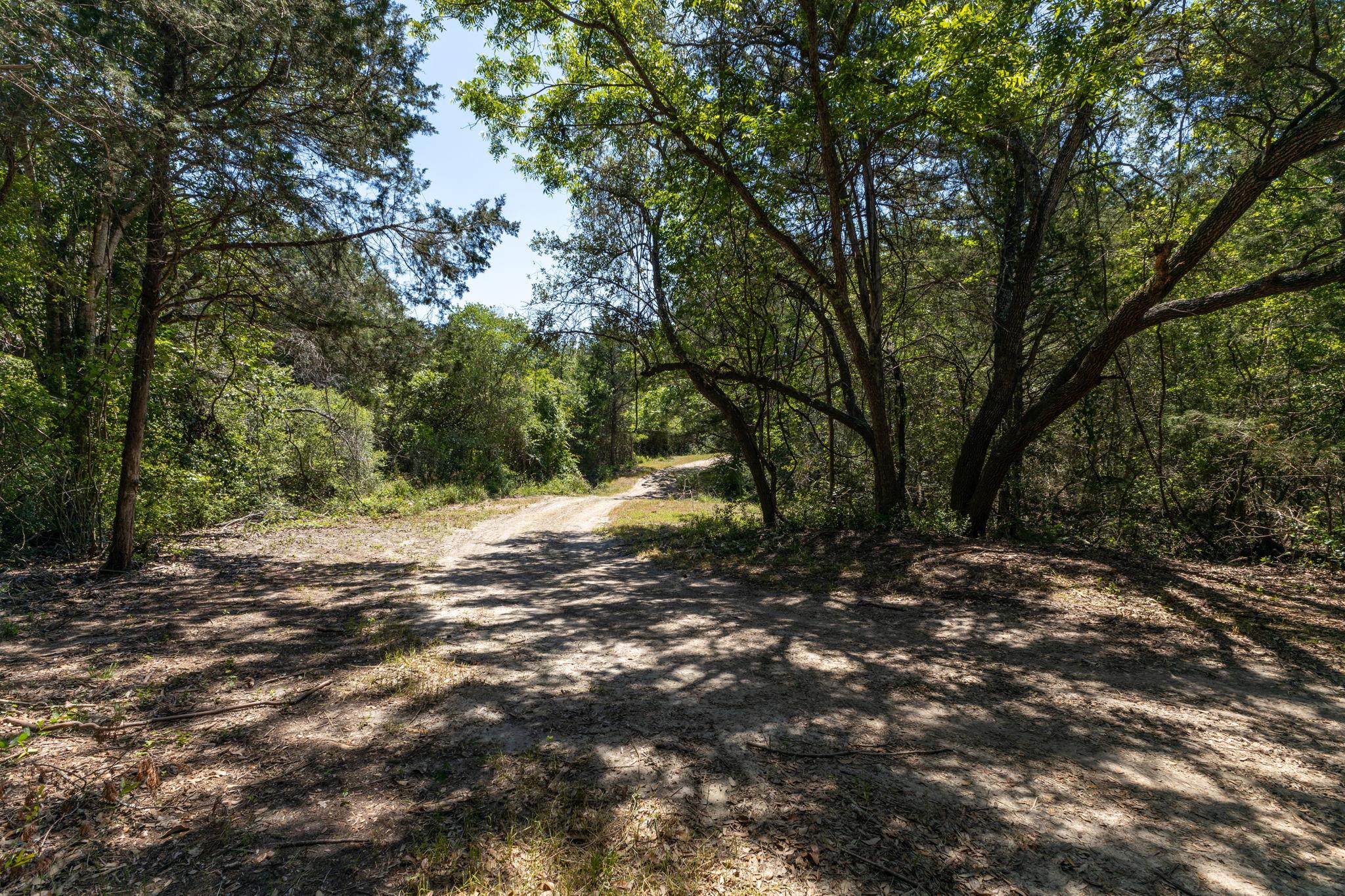2088 (tract #3) Baca Loop Property Photo 22