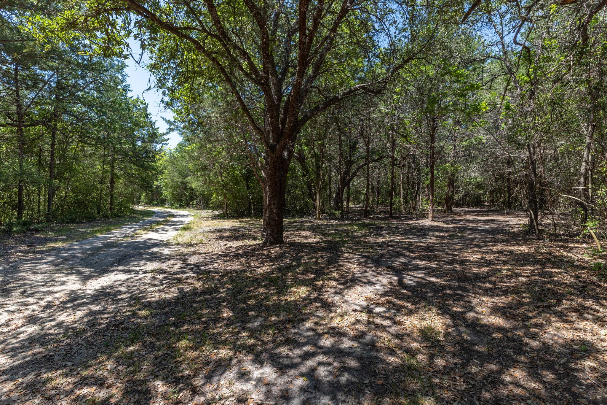 2088 (tract #3) Baca Loop Property Photo 24