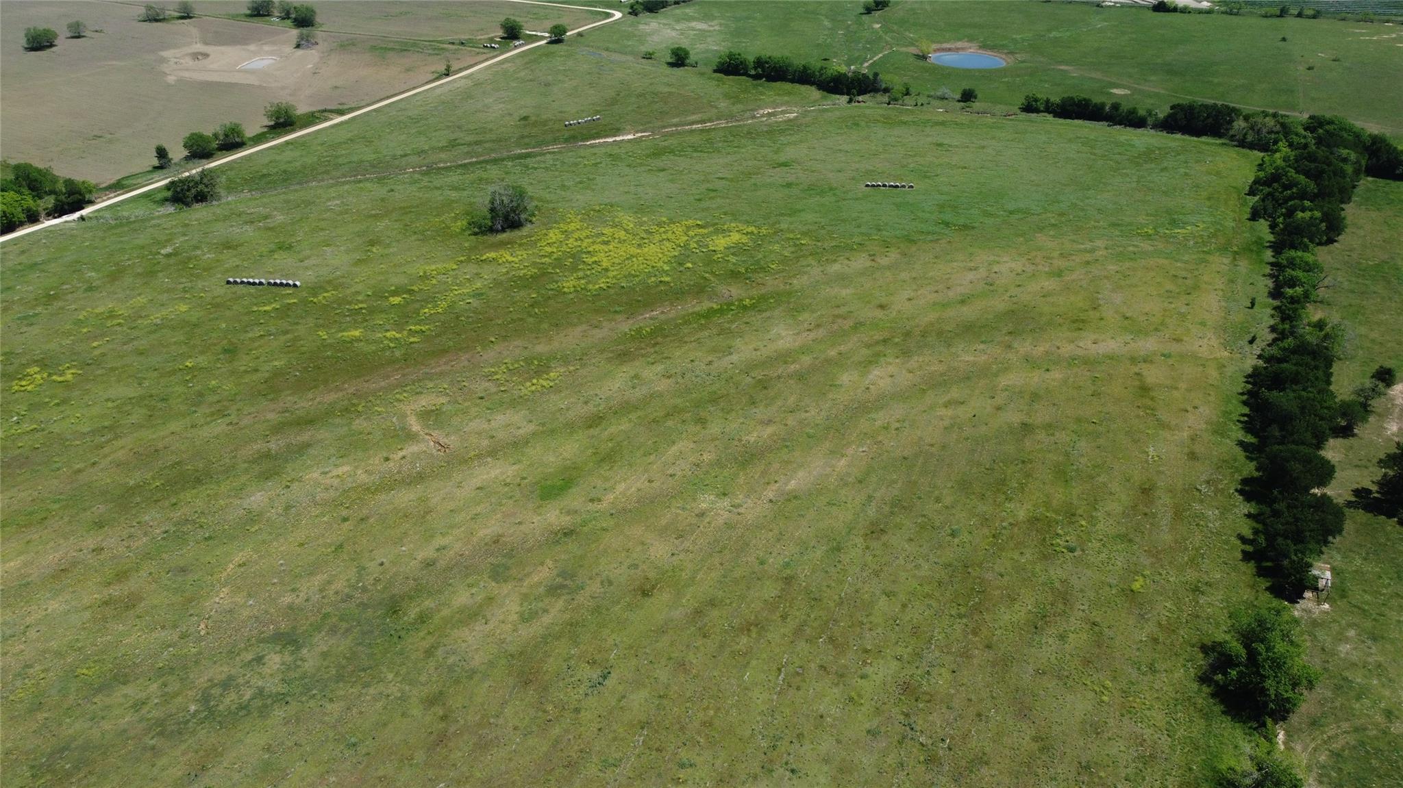 Tbd (lot 4) County Road 440 Property Photo 5