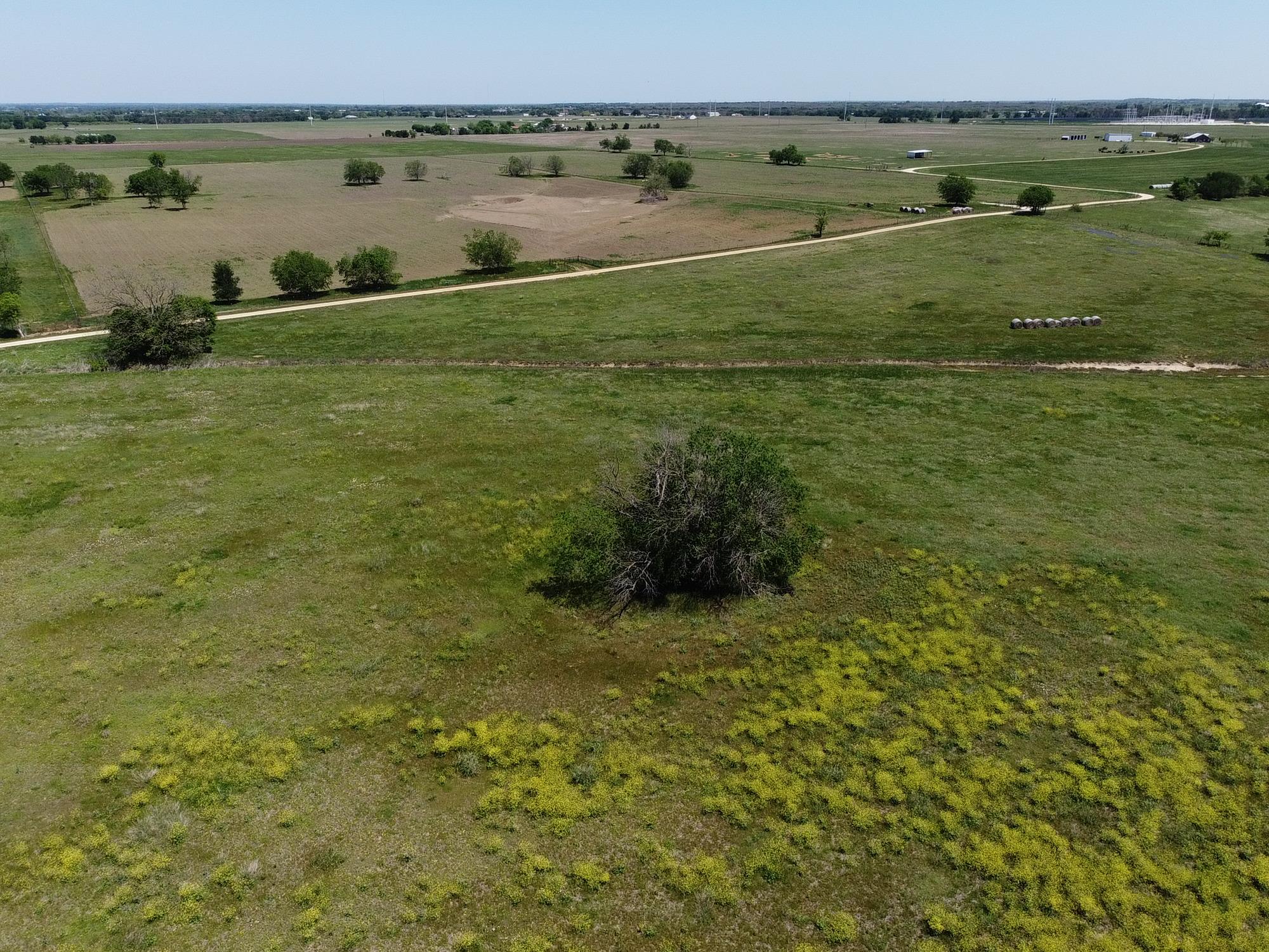 Tbd (lot 4) County Road 440 Property Photo 8