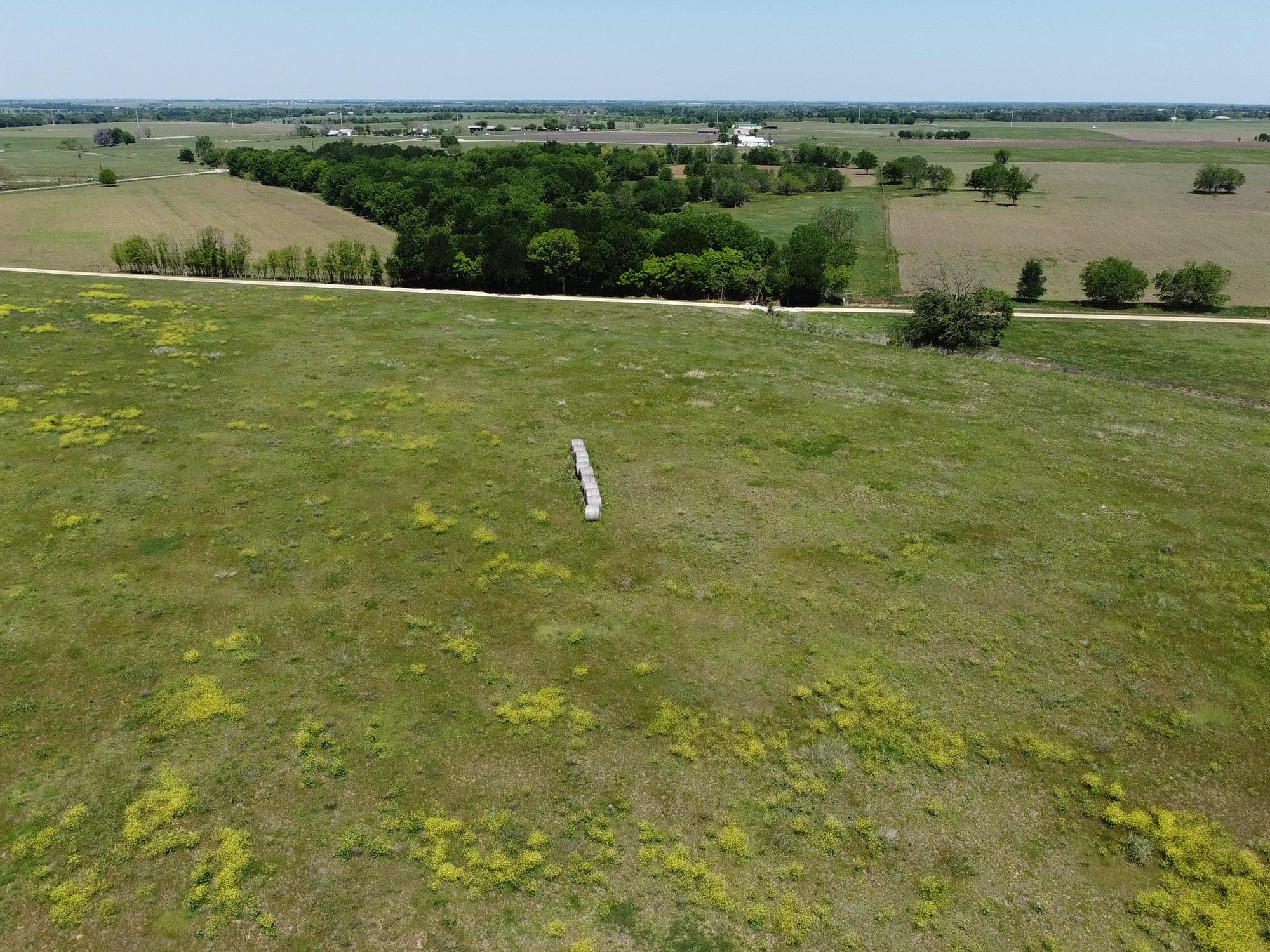 Tbd (lot 4) County Road 440 Property Photo 9
