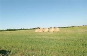 Tbd (lot 4) County Road 440 Property Photo 12