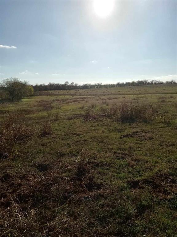 Tbd (lot 4) County Road 440 Property Photo 24