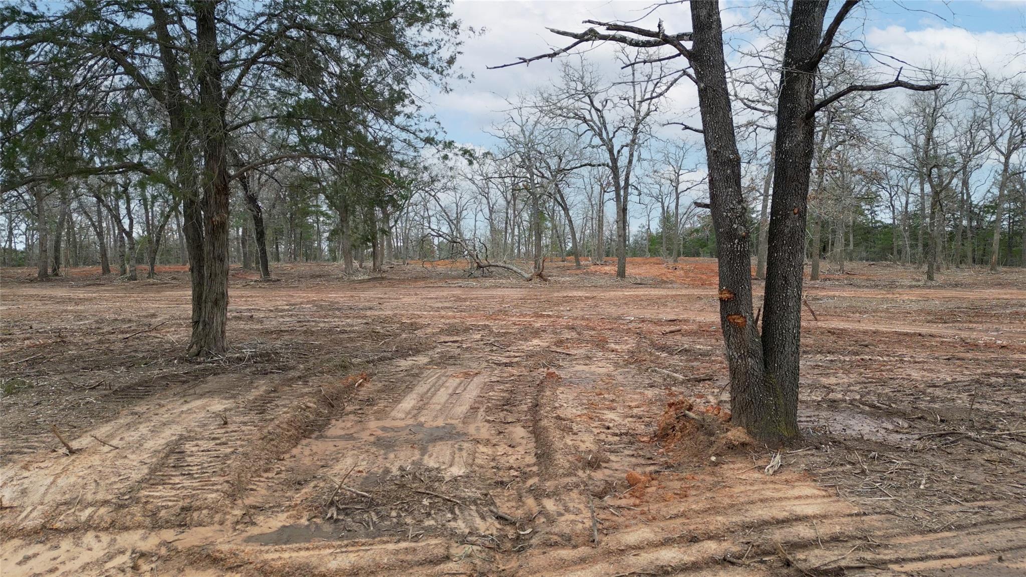 1559 Fm 535 Highway Property Photo 1