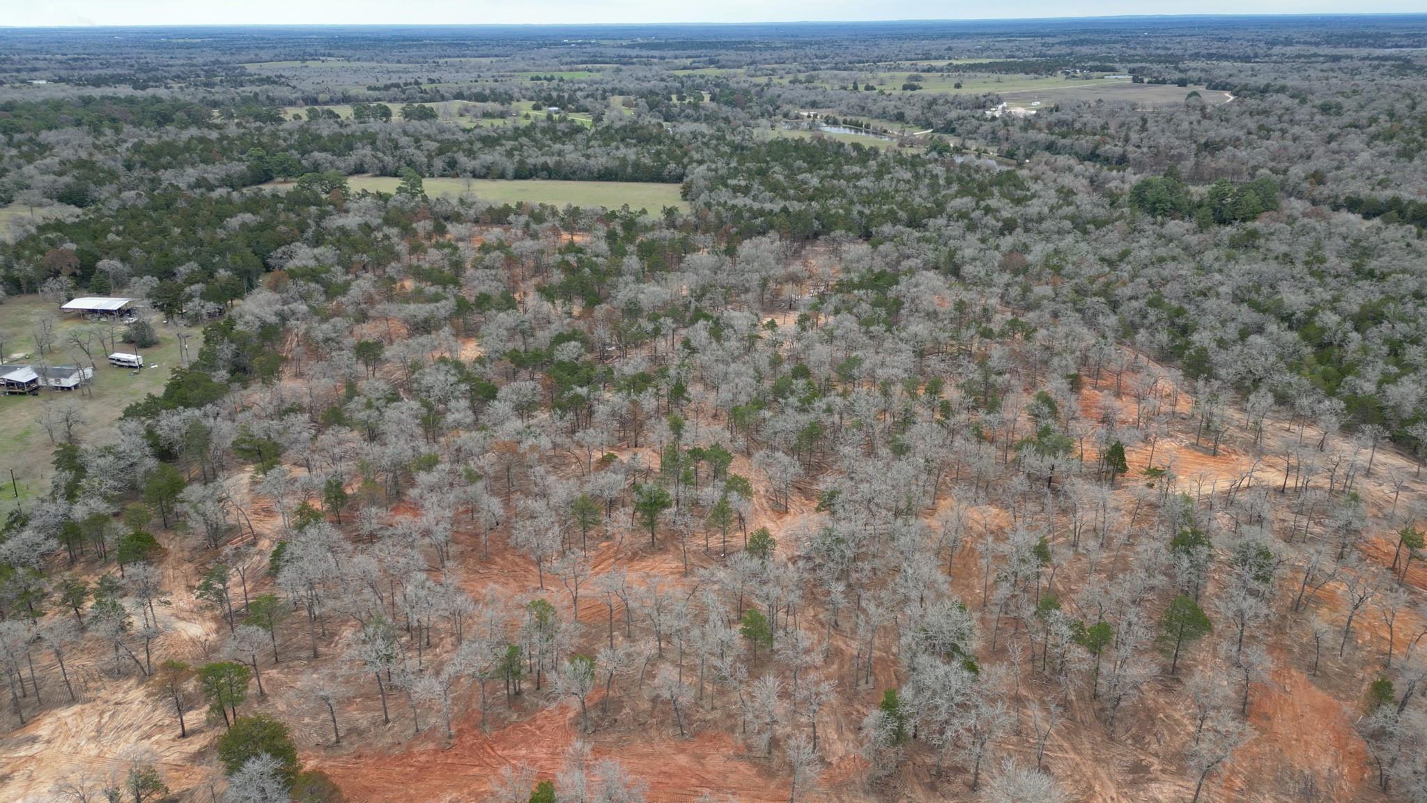1559 Fm 535 Highway Property Photo 6