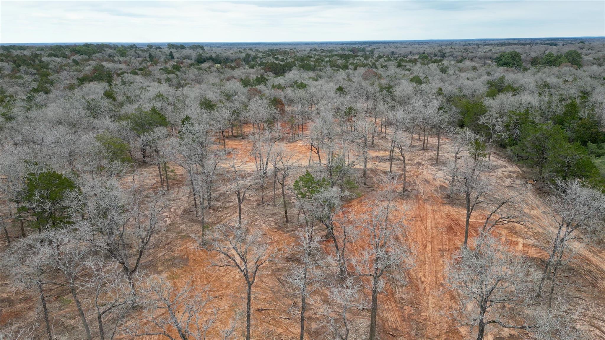 1559 Fm 535 Highway Property Photo 7