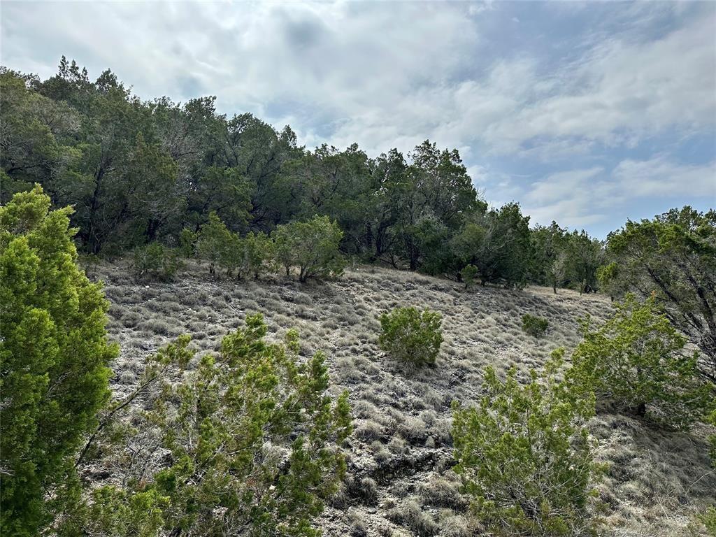 21203 Westward Ho Pass Property Photo 2