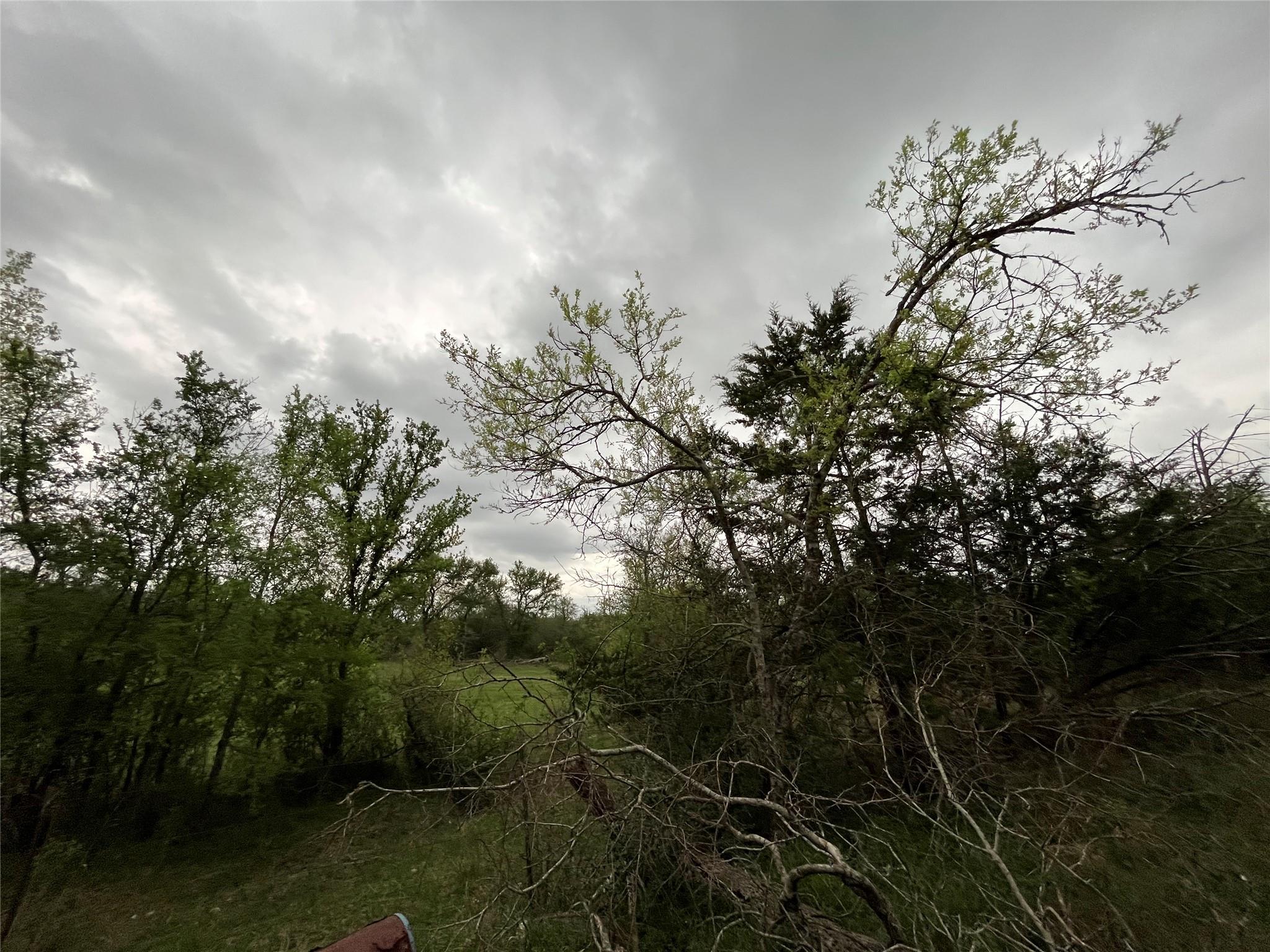 379 Forest Lake Dr Property Photo 15