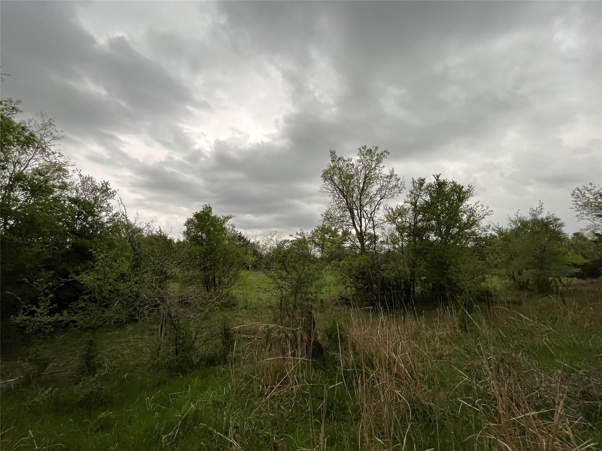 379 Forest Lake Dr Property Photo 17