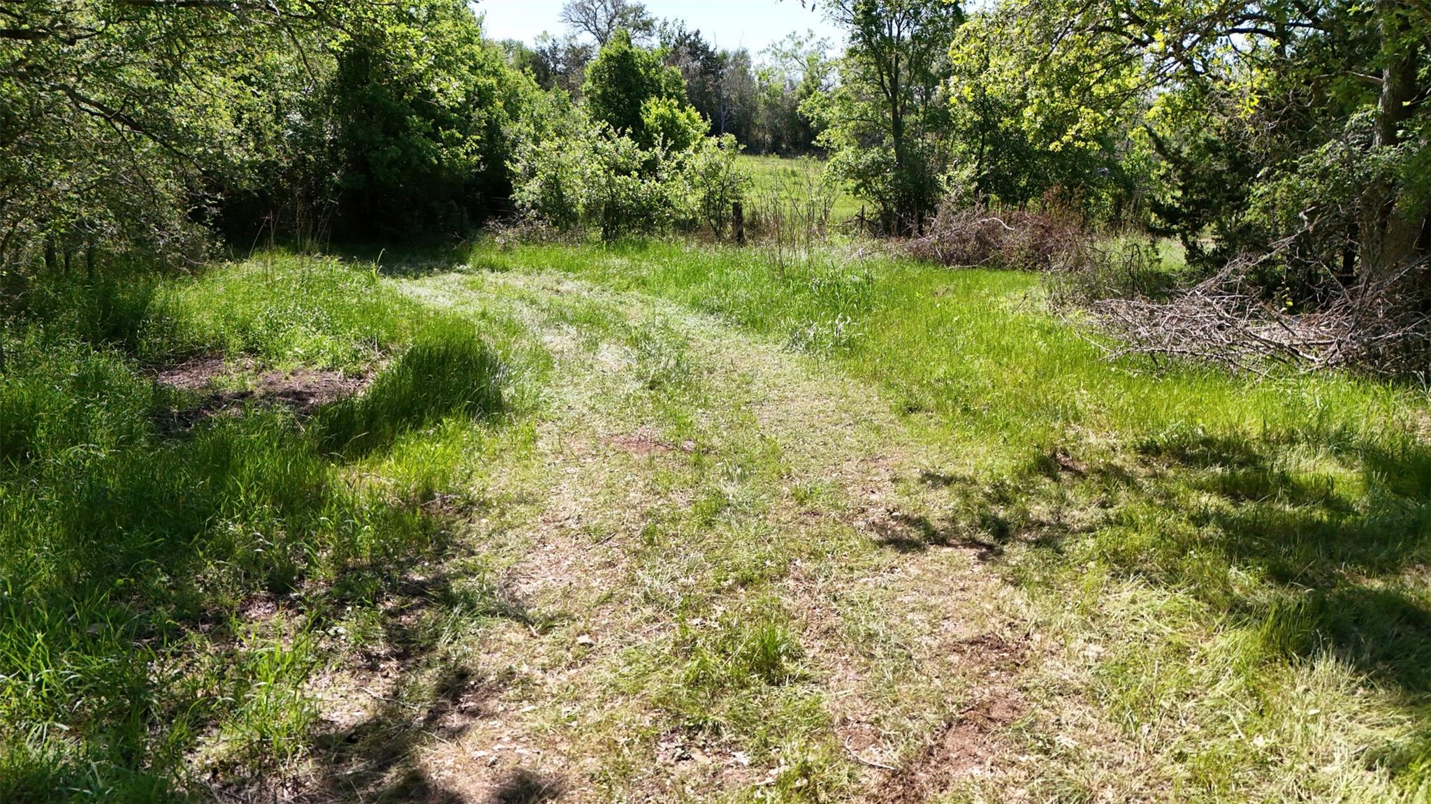 379 Forest Lake Dr Property Photo 18