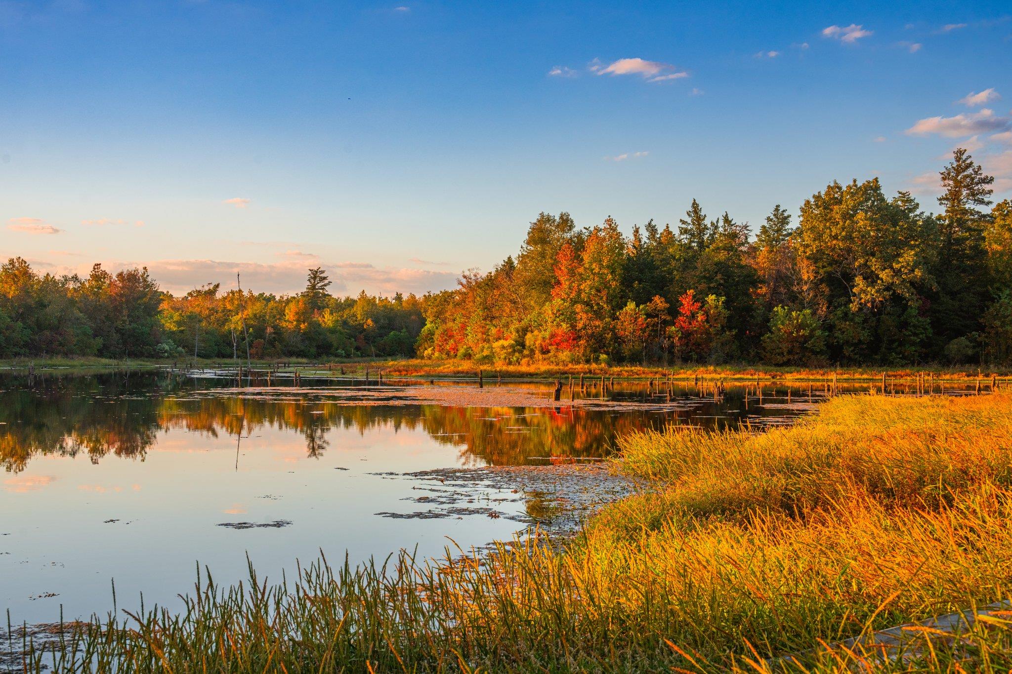 Tbd County Road 3411 None Property Photo 5