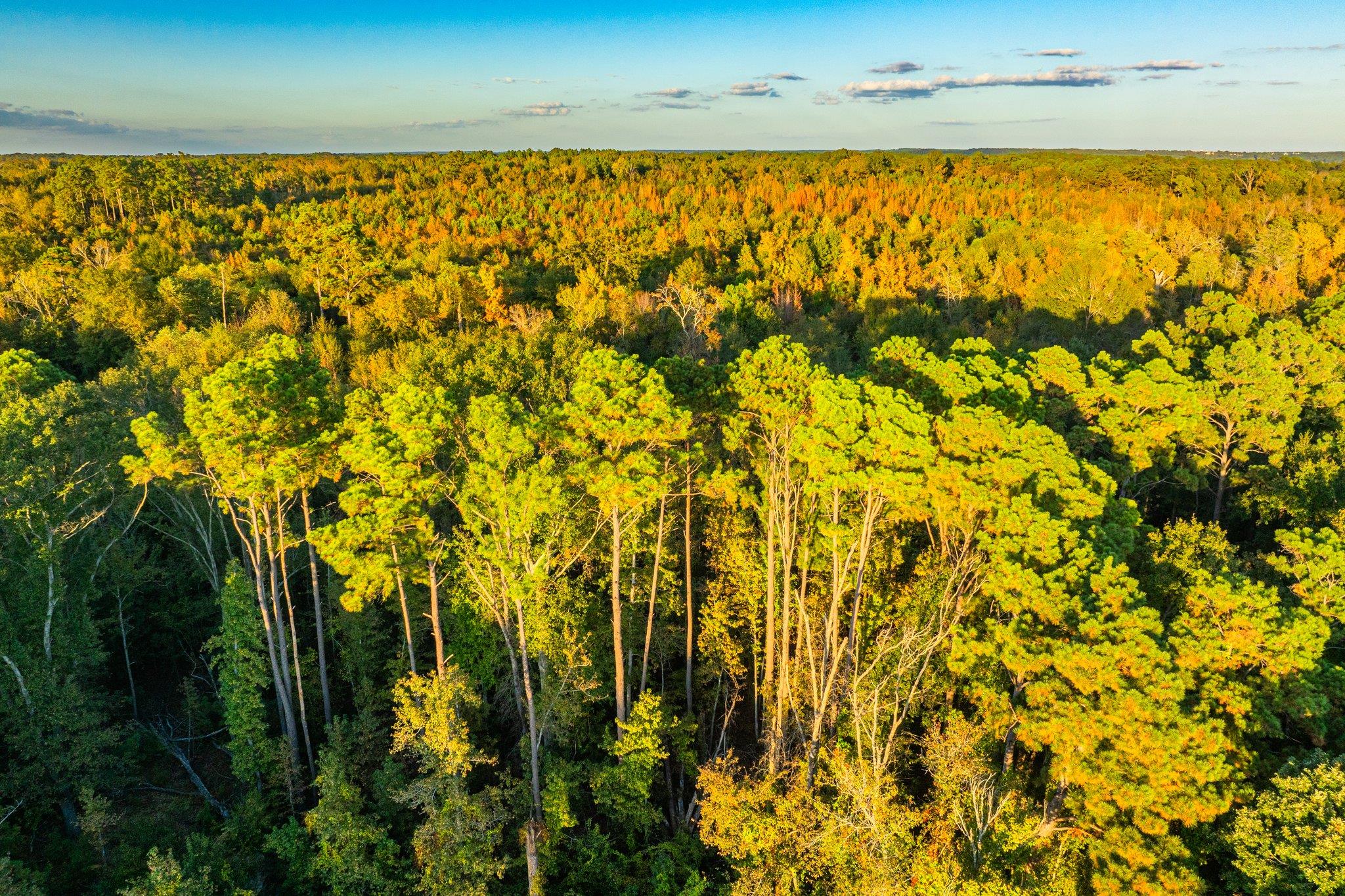 Tbd County Road 3411 None Property Photo 8