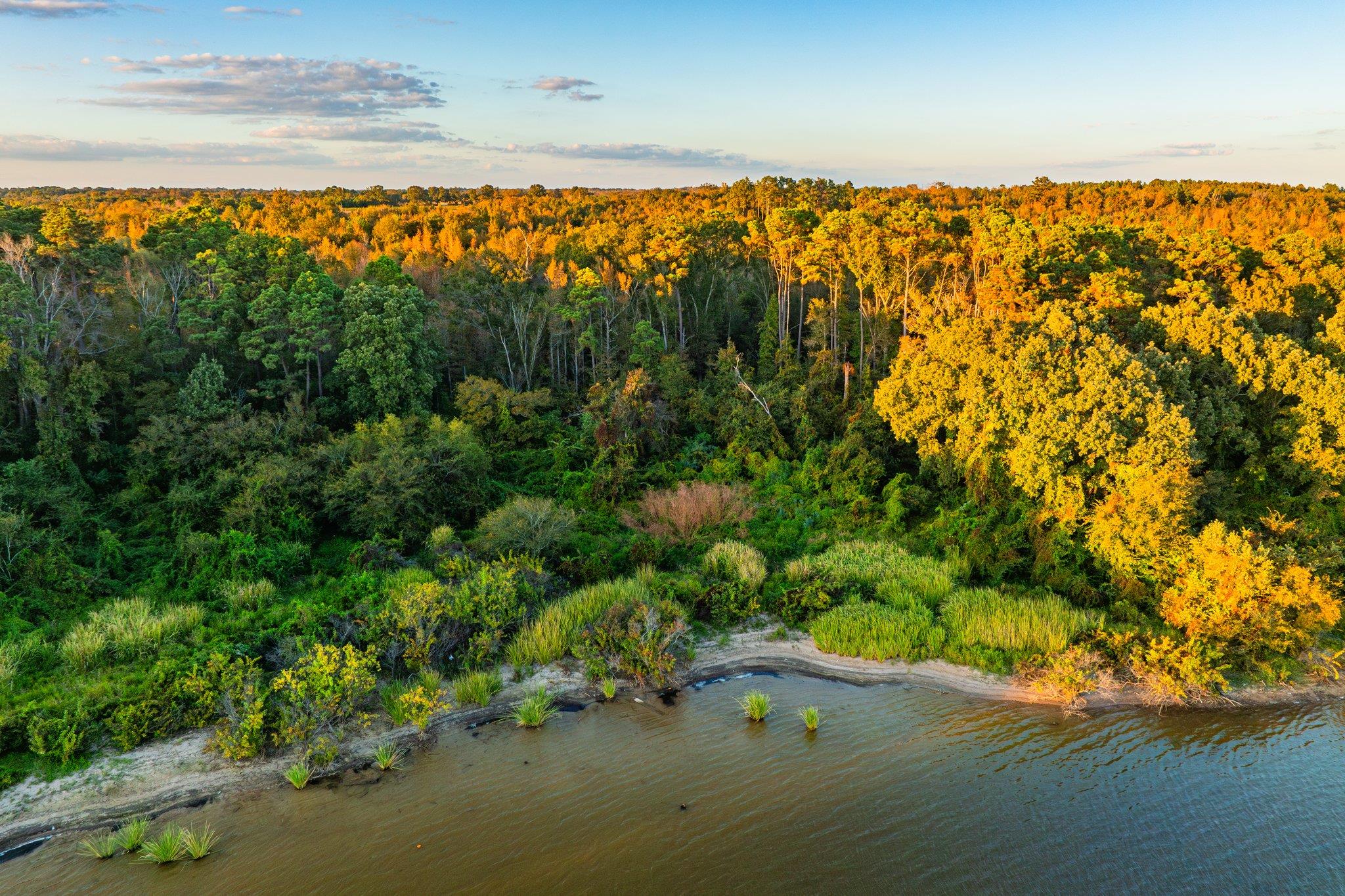Tbd County Road 3411 None Property Photo 12