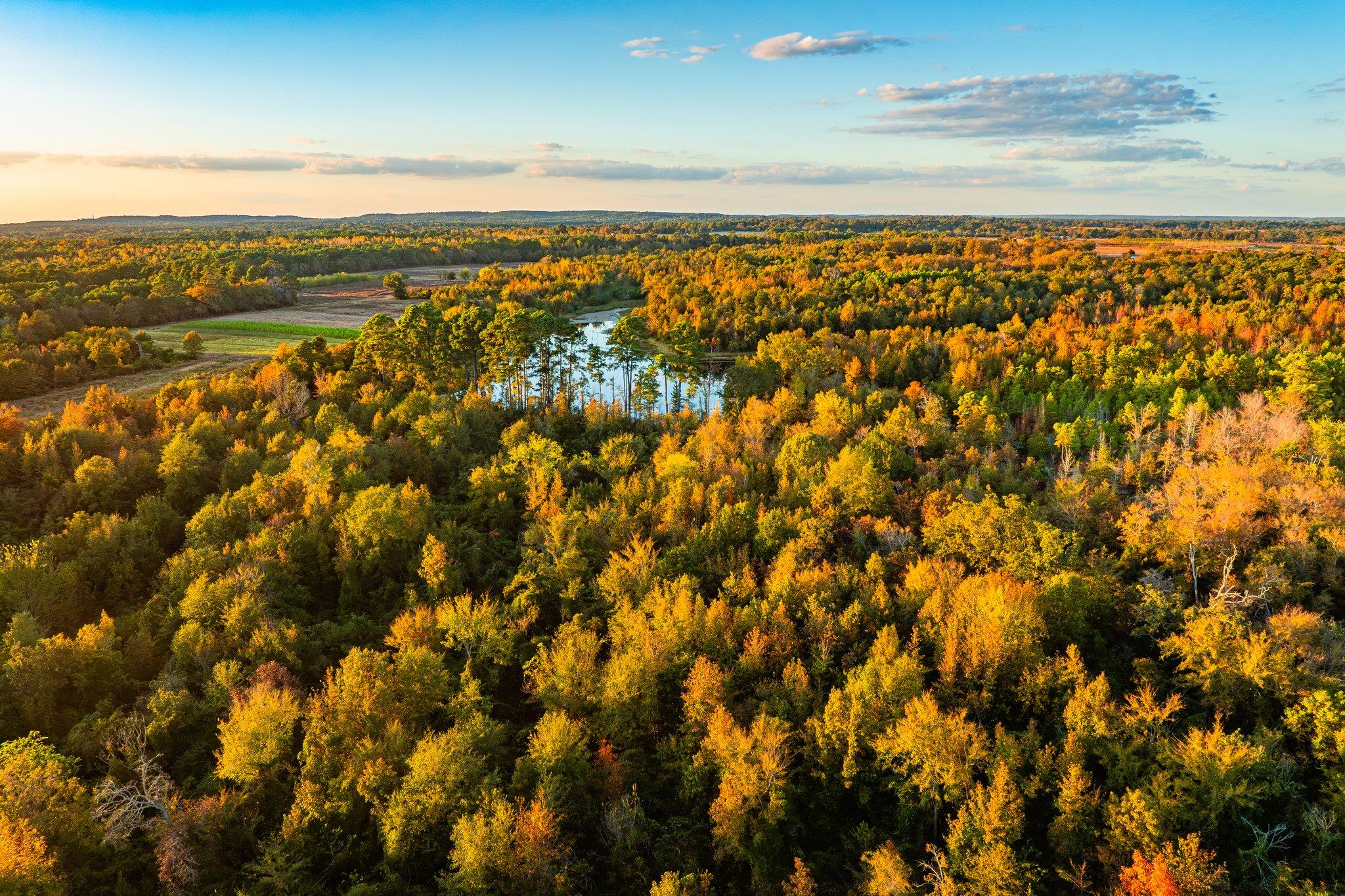 Tbd County Road 3411 None Property Photo 13