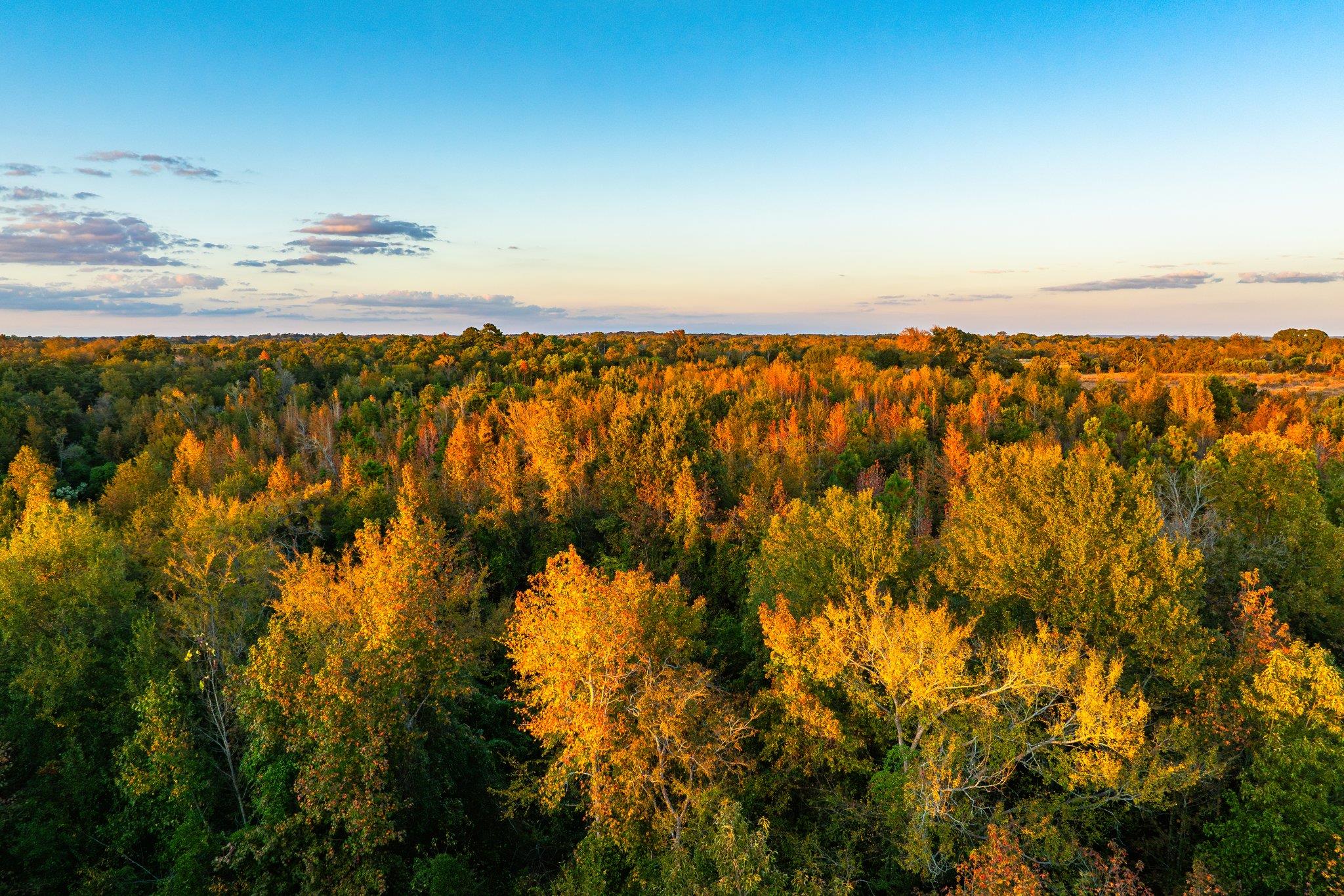 Tbd County Road 3411 None Property Photo 15