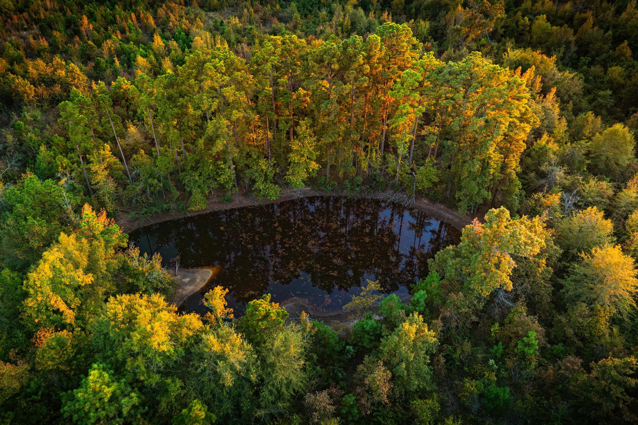 Tbd County Road 3411 None Property Photo 16