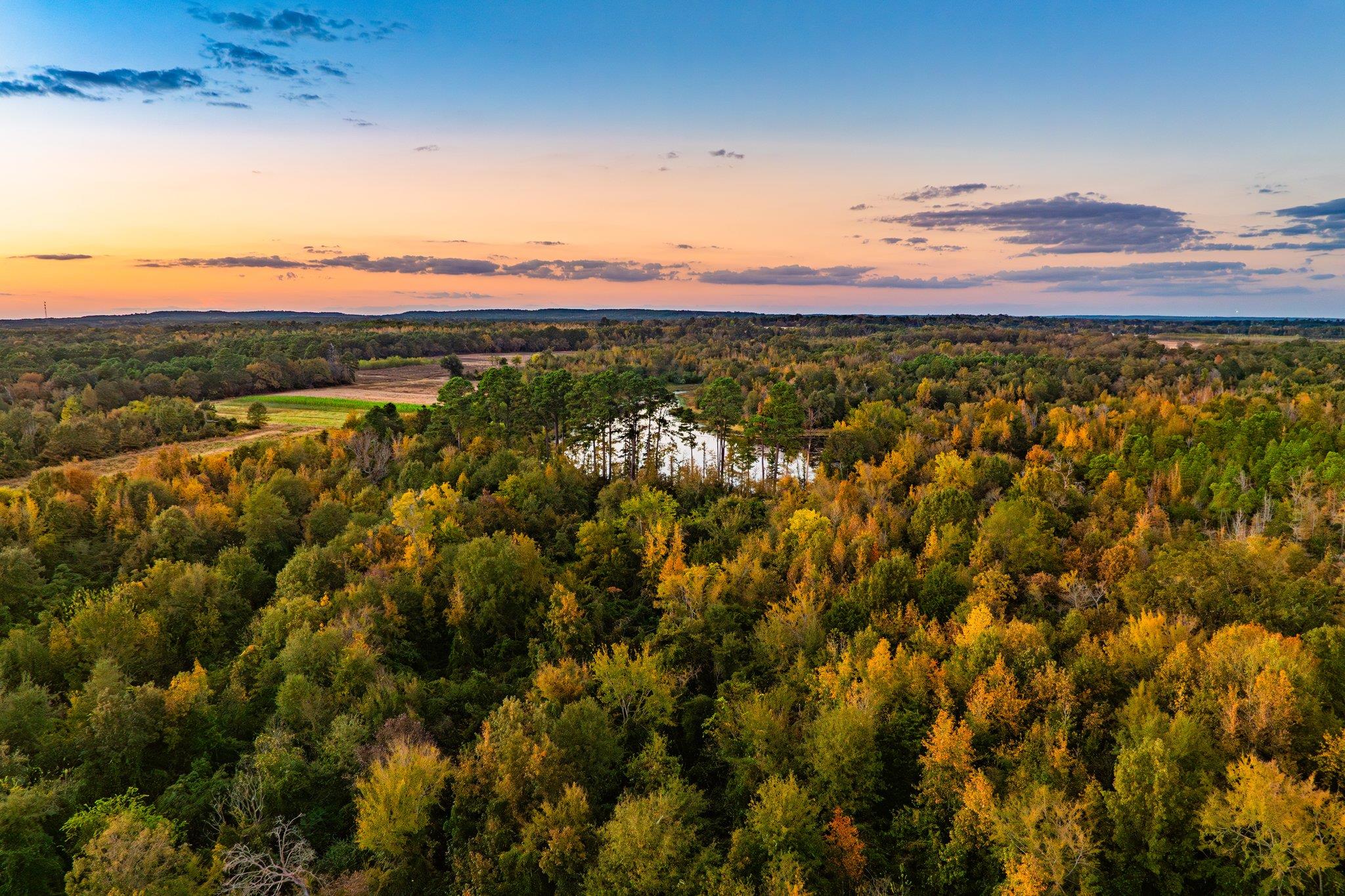 Tbd County Road 3411 None Property Photo 17