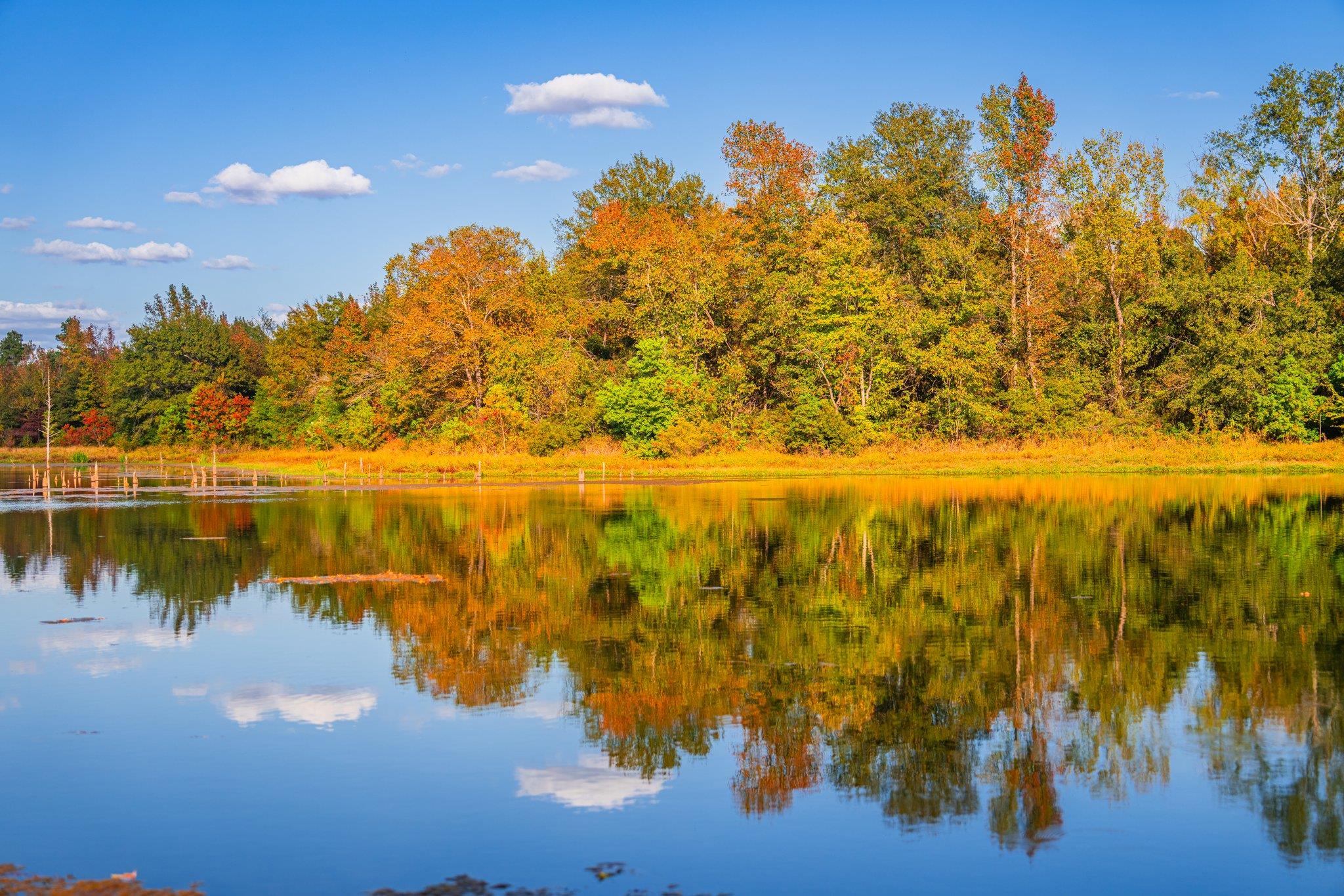 Tbd County Road 3411 None Property Photo 18