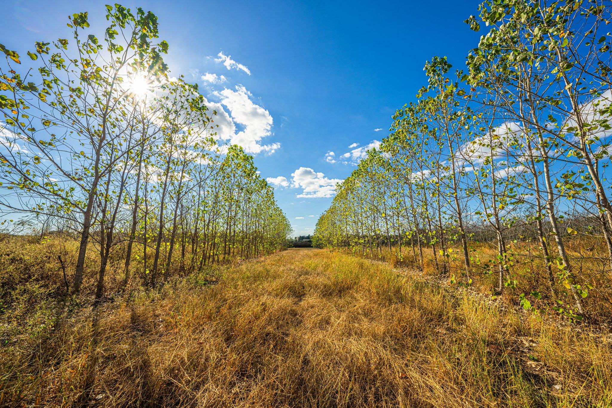 Tbd County Road 3411 None Property Photo 19