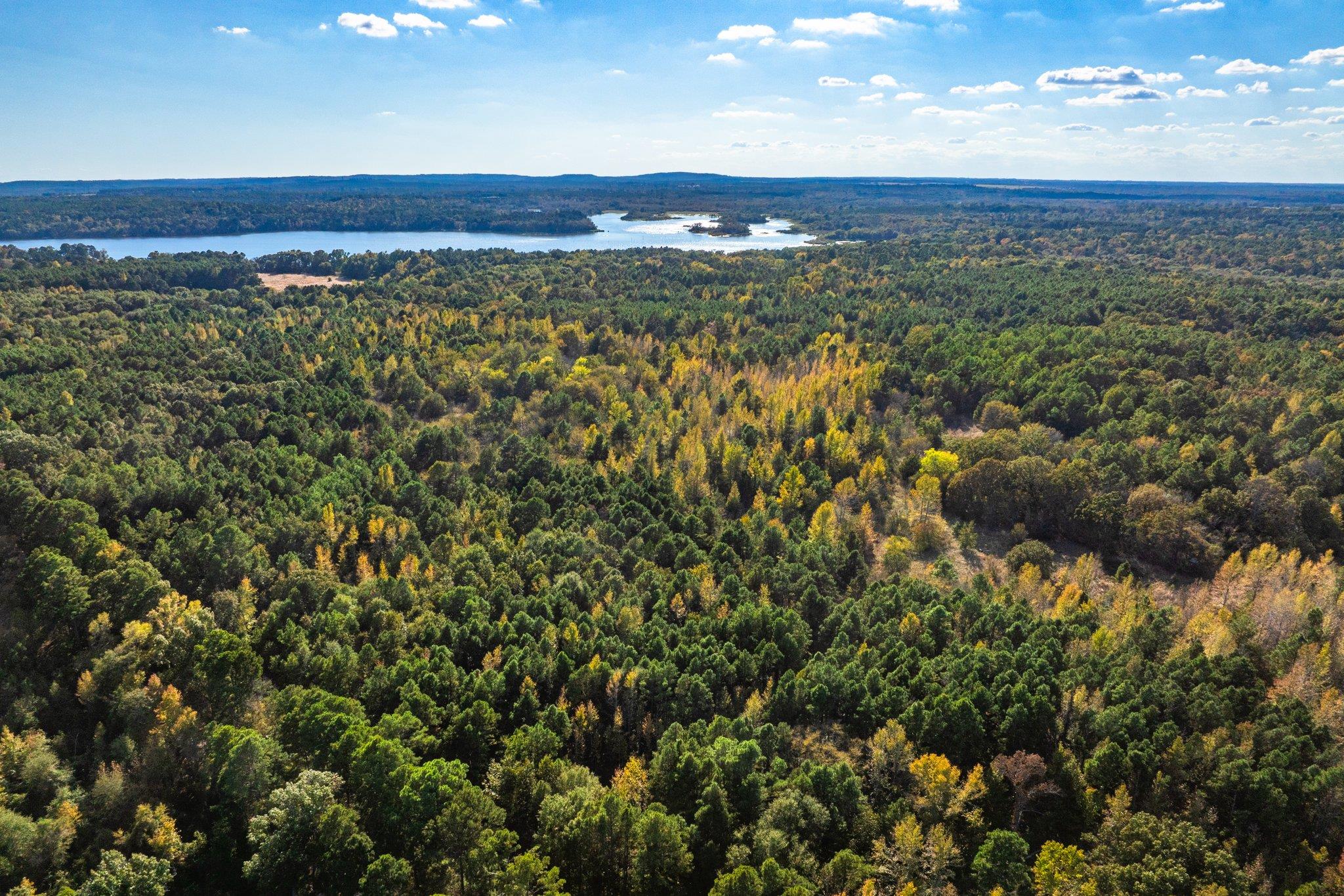 Tbd County Road 3411 None Property Photo 20
