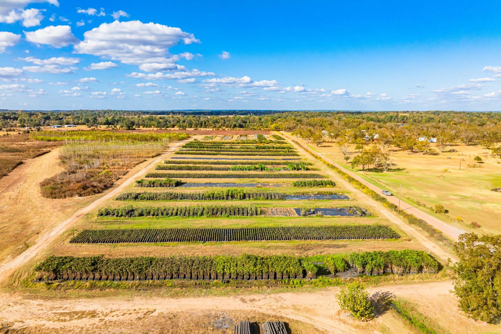 Tbd County Road 3411 None Property Photo 23