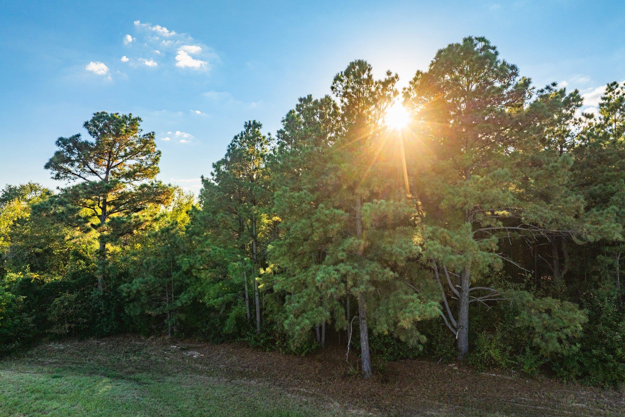 Tbd County Road 3411 None Property Photo 27