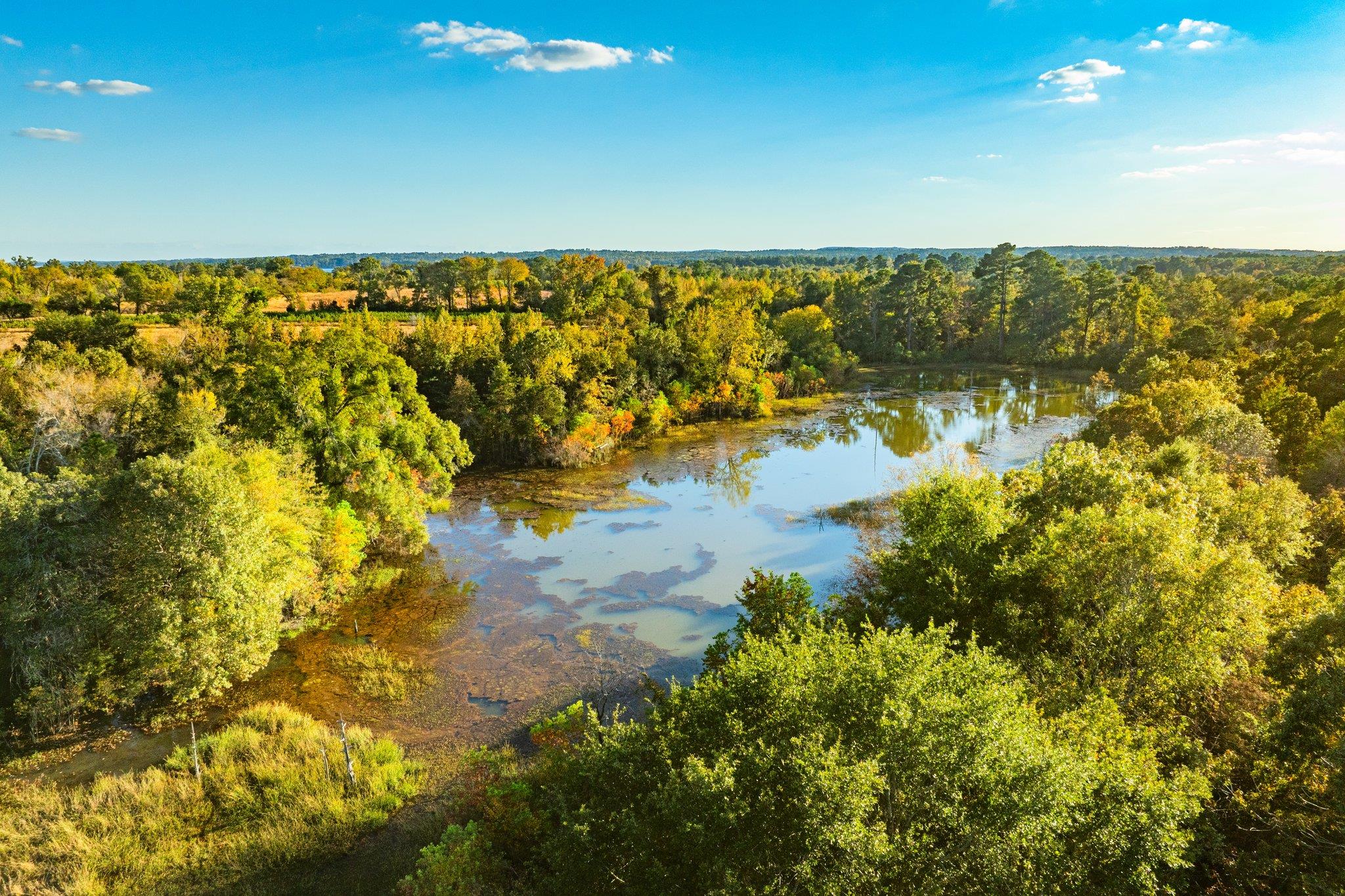 Tbd County Road 3411 None Property Photo 28
