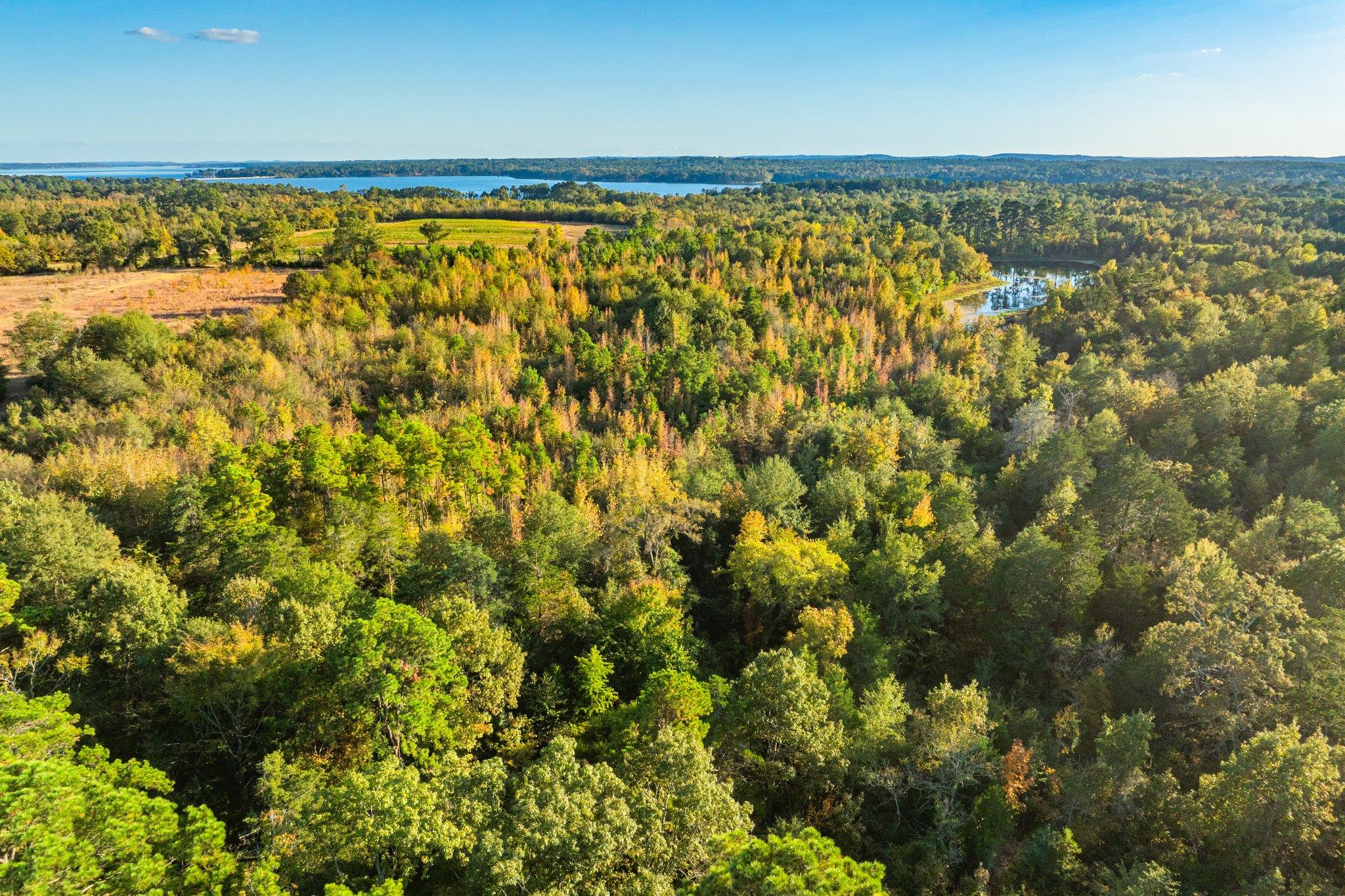 Tbd County Road 3411 None Property Photo 29