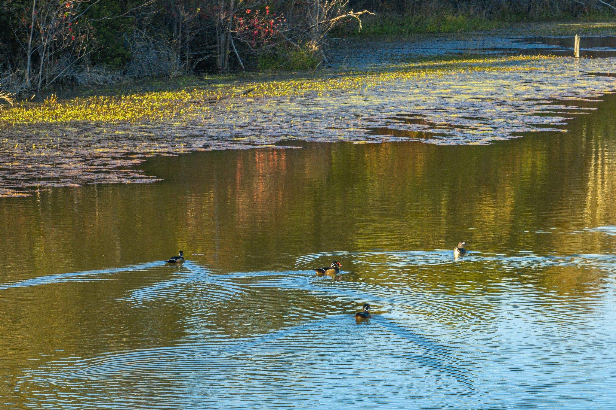 Tbd County Road 3411 None Property Photo 30