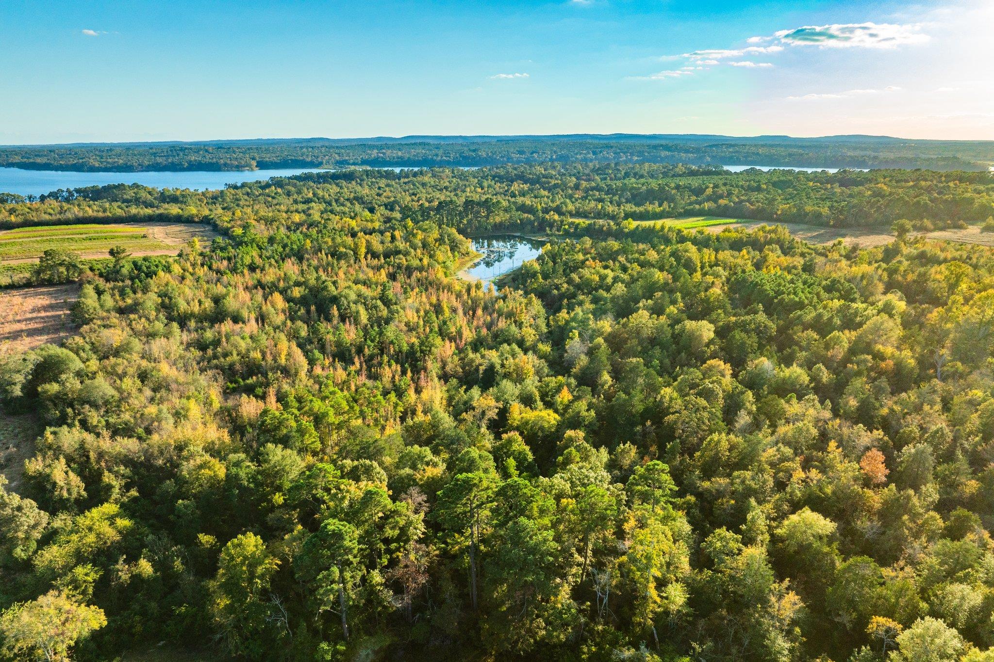 Tbd County Road 3411 None Property Photo 31