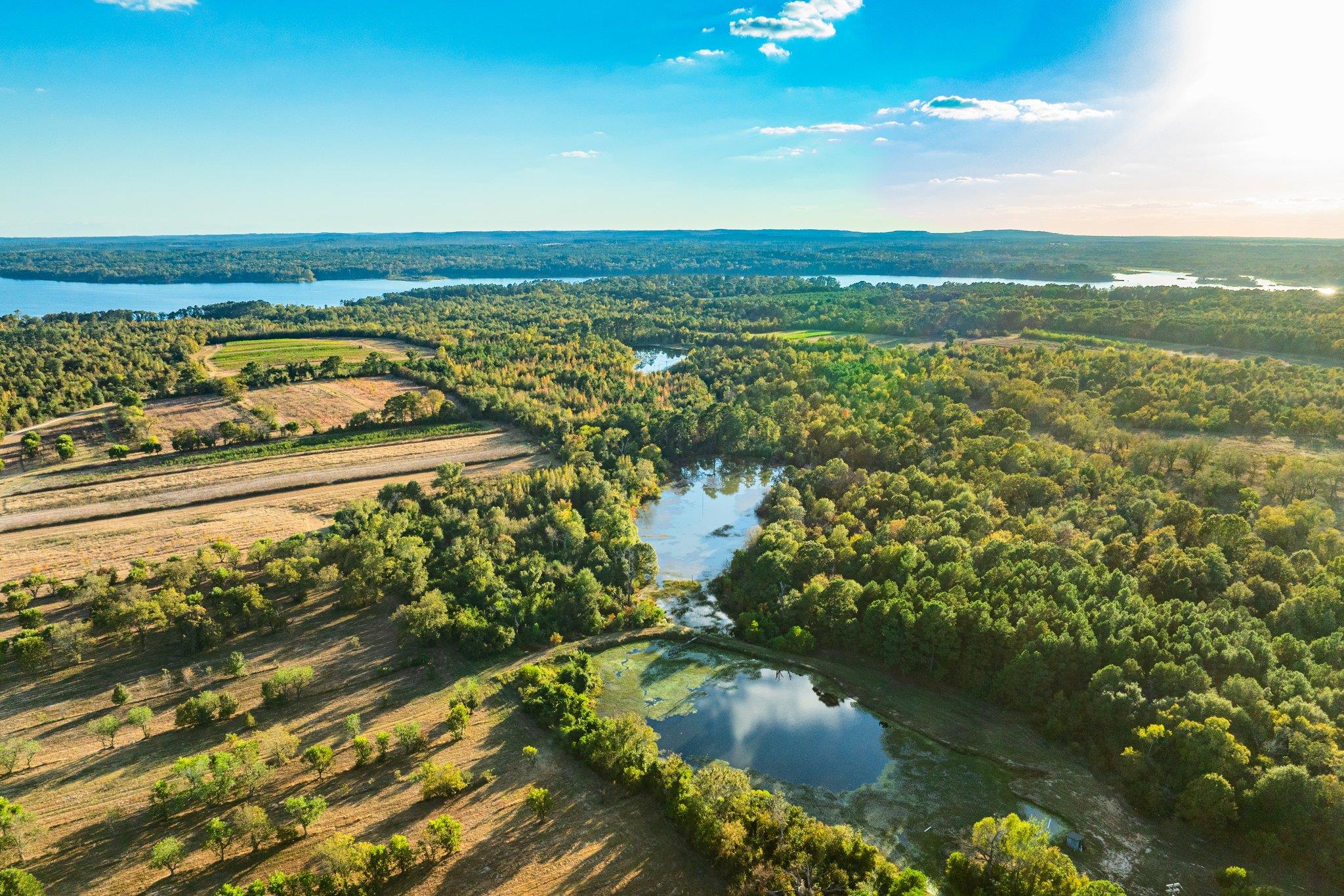 Tbd County Road 3411 None Property Photo 34