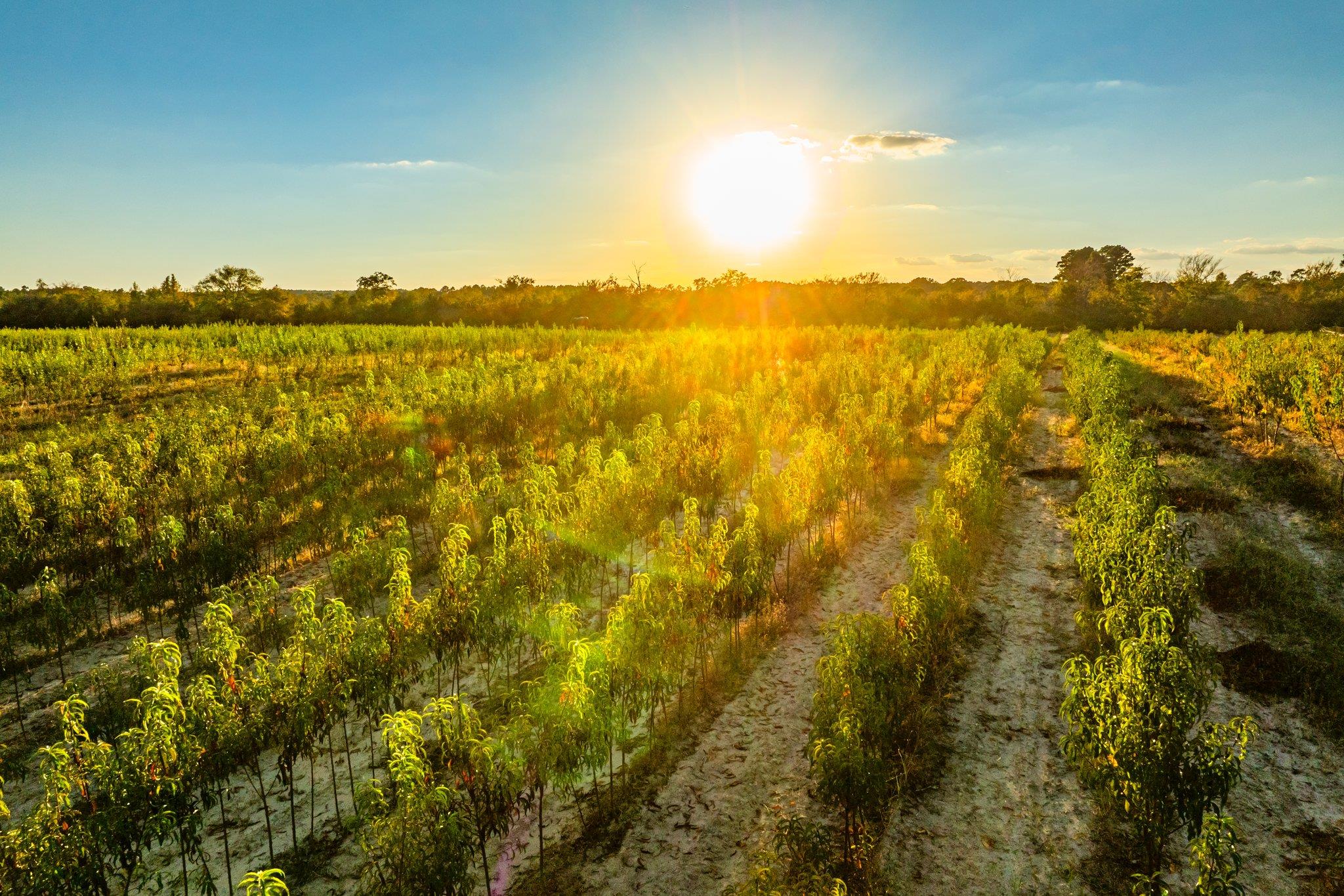 Tbd County Road 3411 None Property Photo 36
