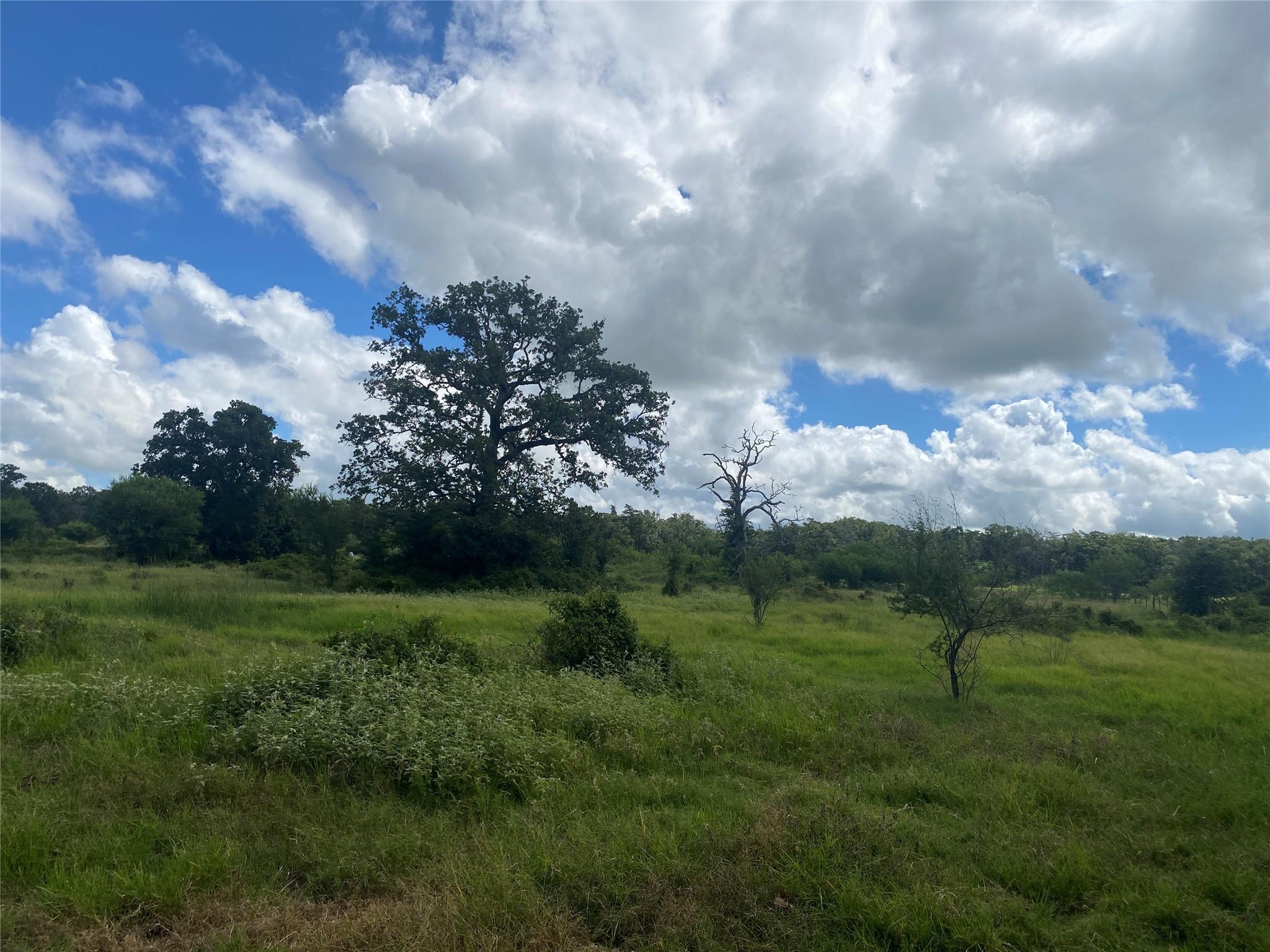 Tbd Ilo Ranch Rd Property Photo 14
