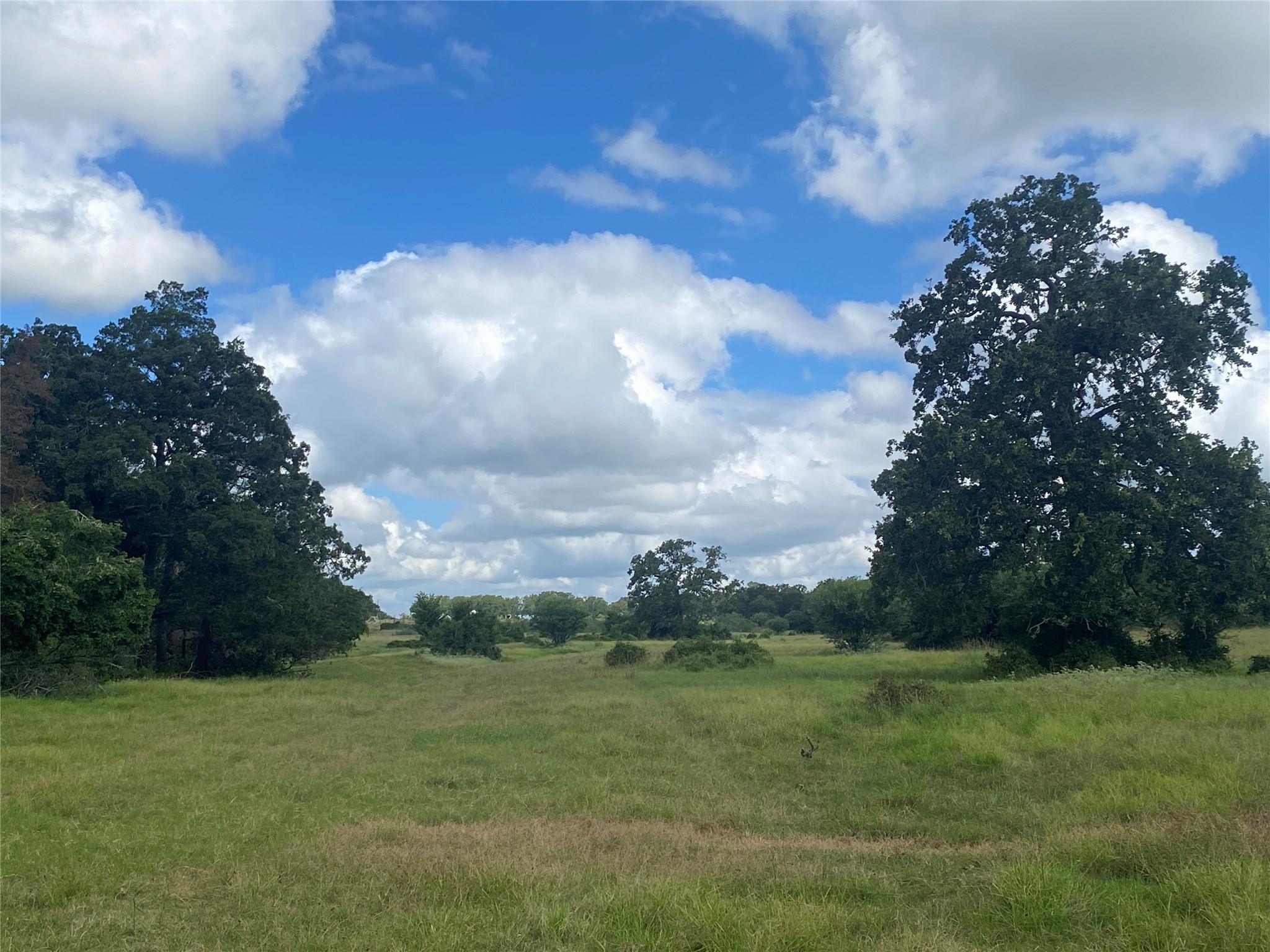Tbd Ilo Ranch Rd Property Photo 16