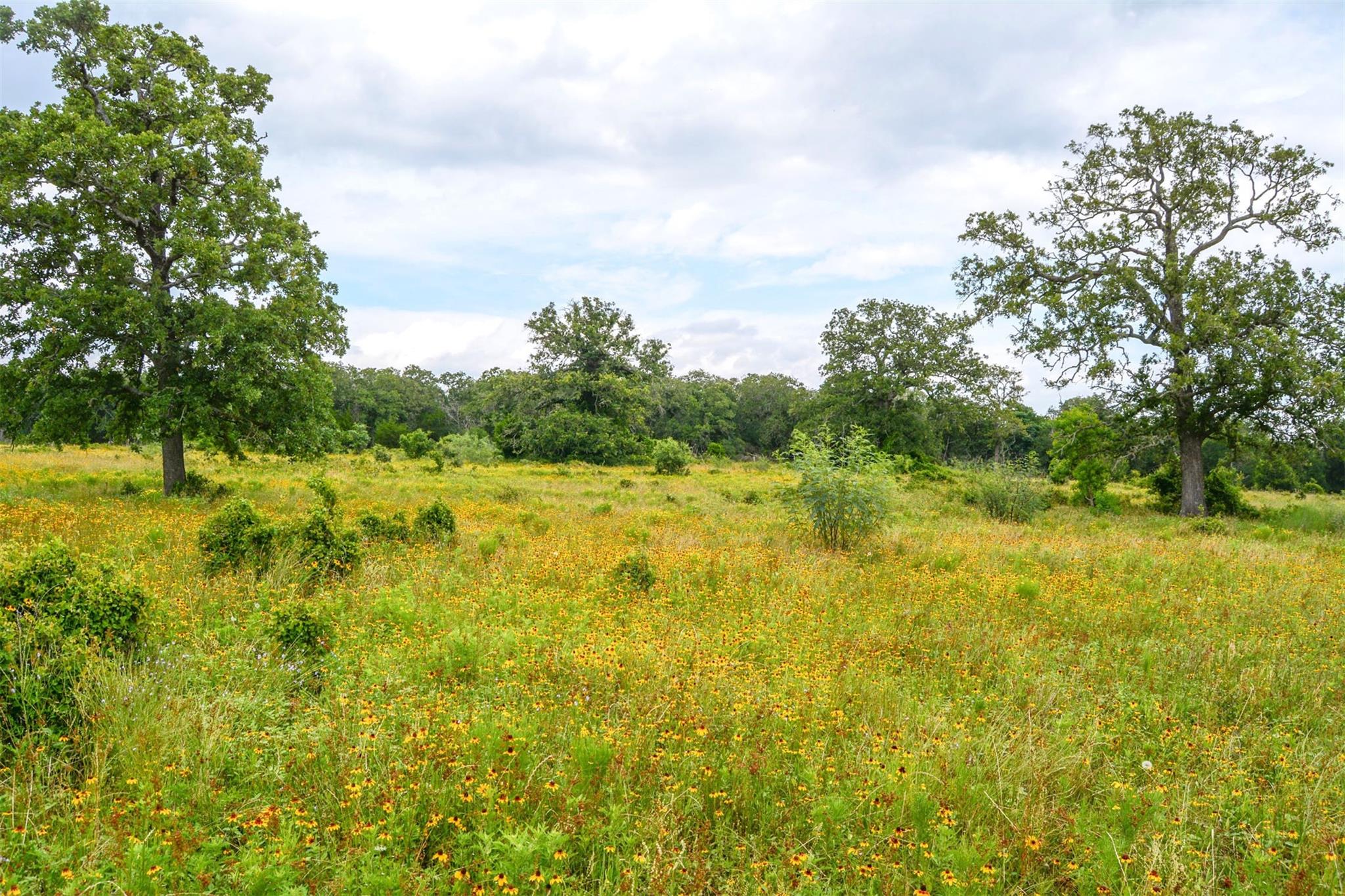 Tbd Ilo Ranch Rd Property Photo 24