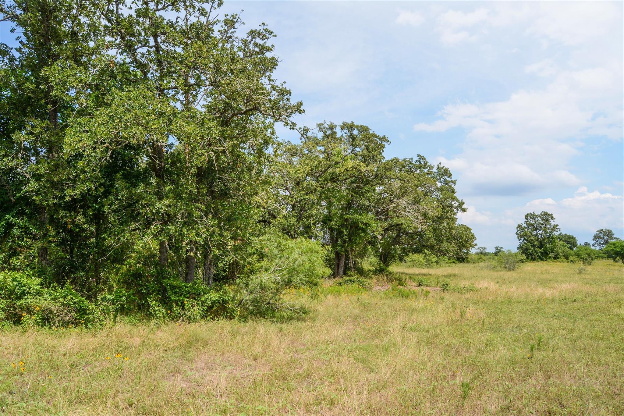 Tbd Ilo Ranch Rd Property Photo 25