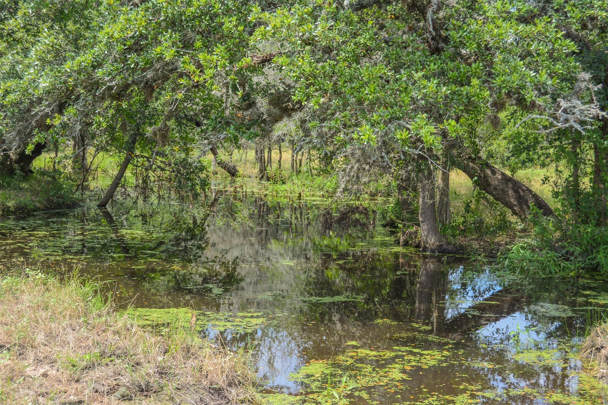 Tbd Ilo Ranch Rd Property Photo 26