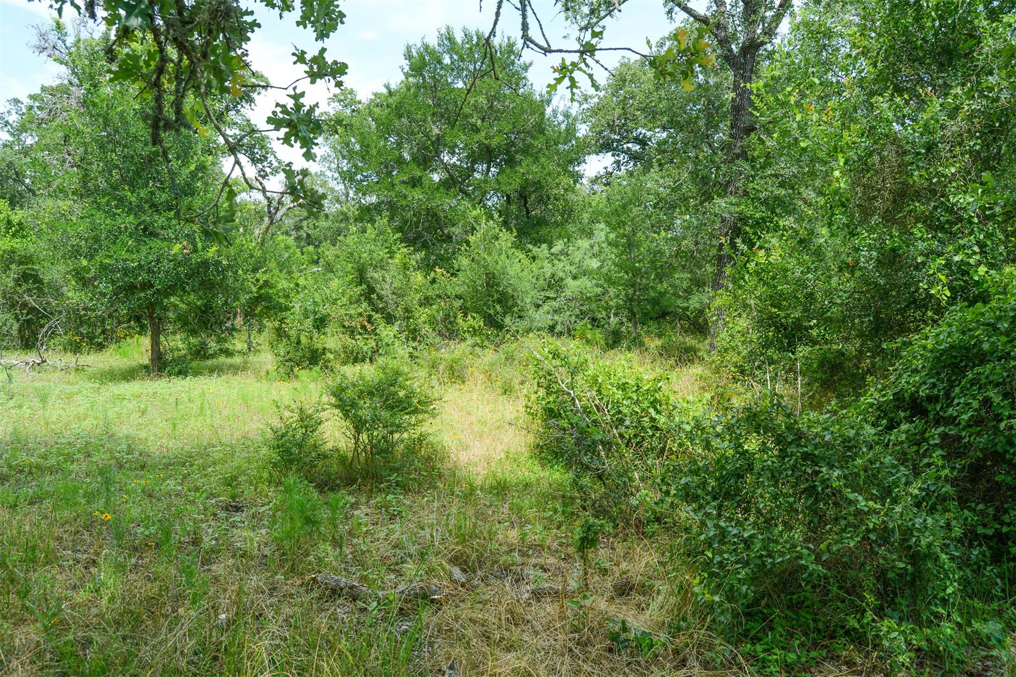Tbd Ilo Ranch Rd Property Photo 27