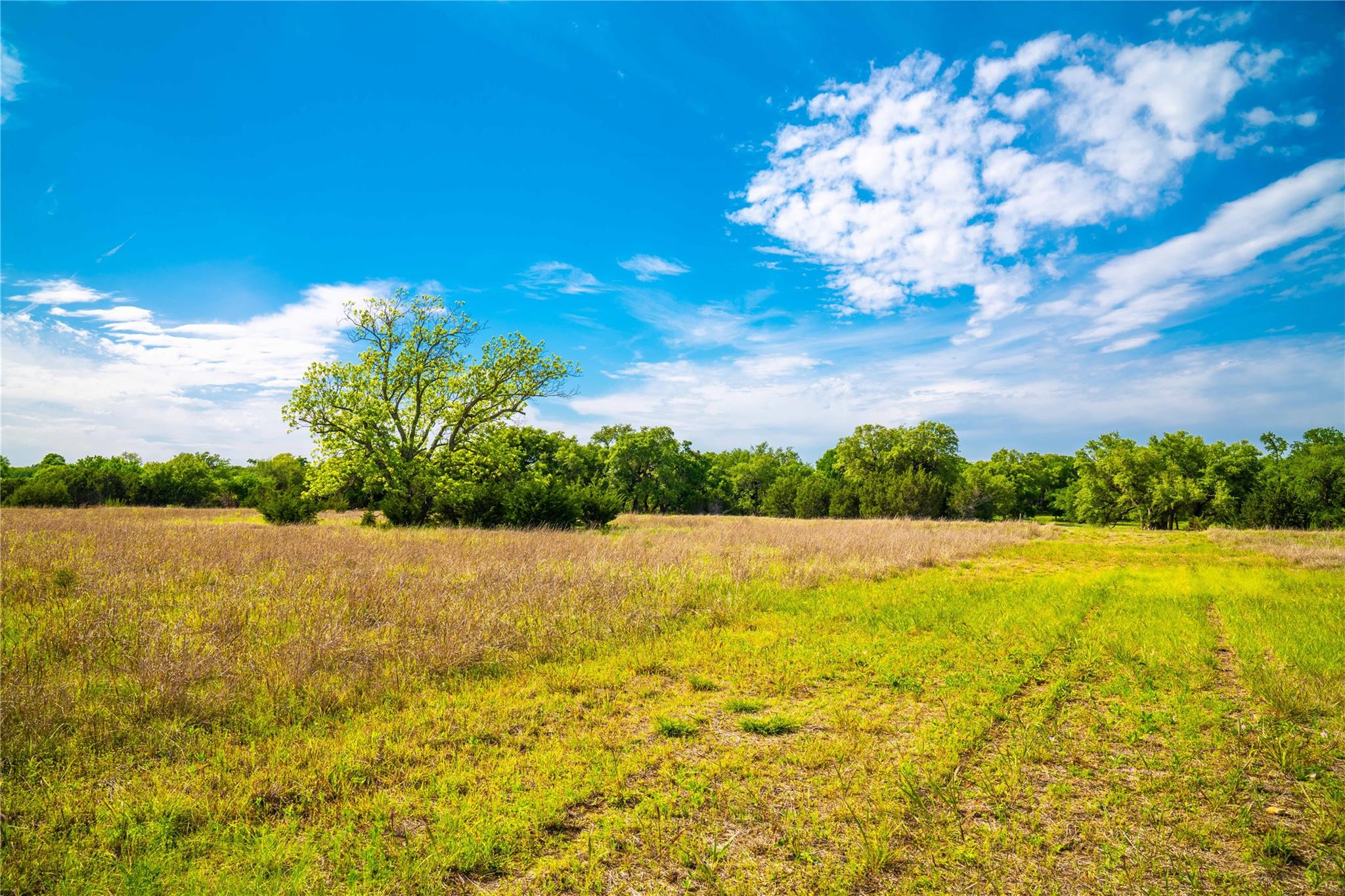 Tbd Tracts 5 And 6 Cr 251 Property Photo 7