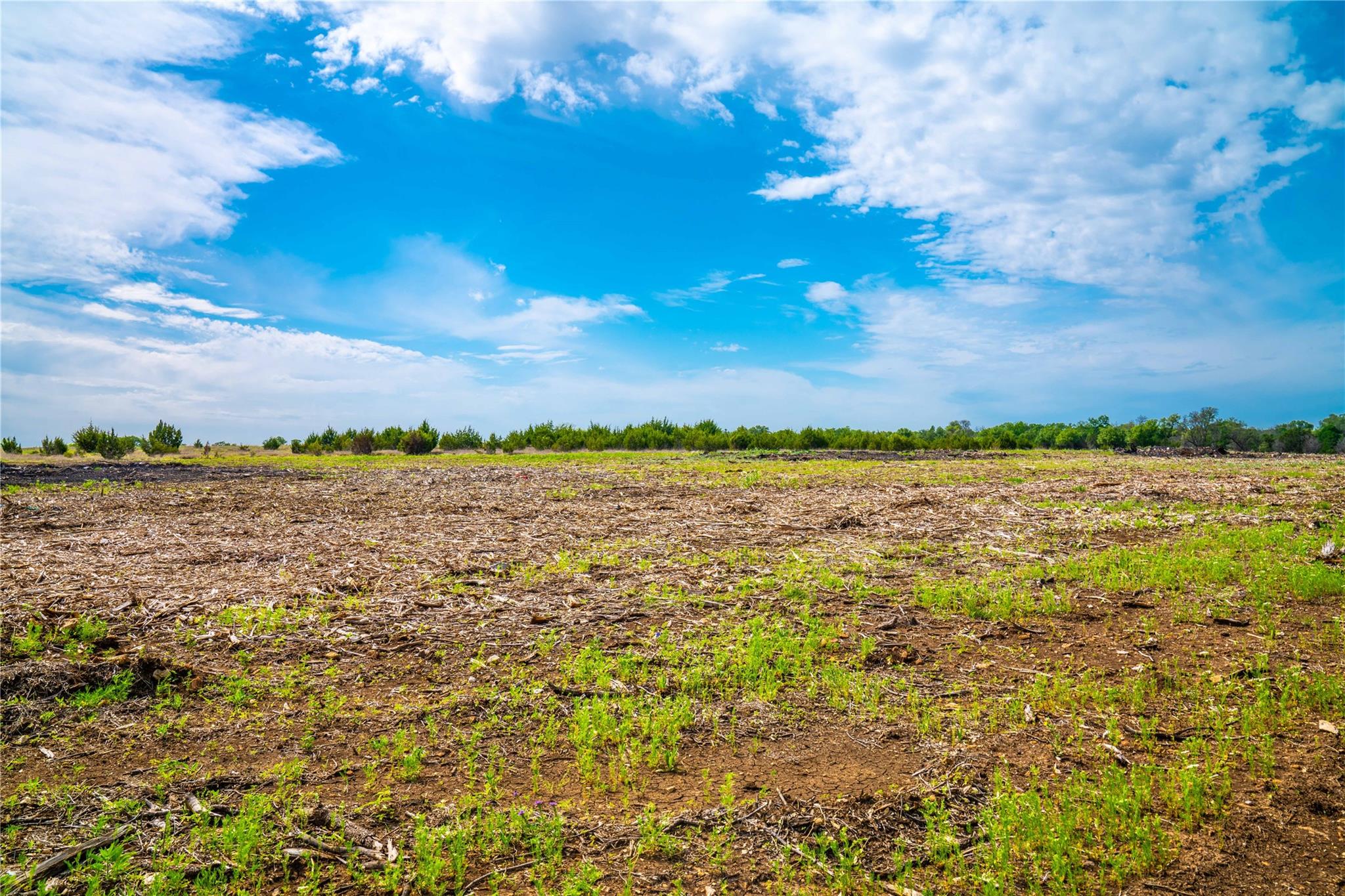 Tbd Tracts 5 And 6 Cr 251 Property Photo 8