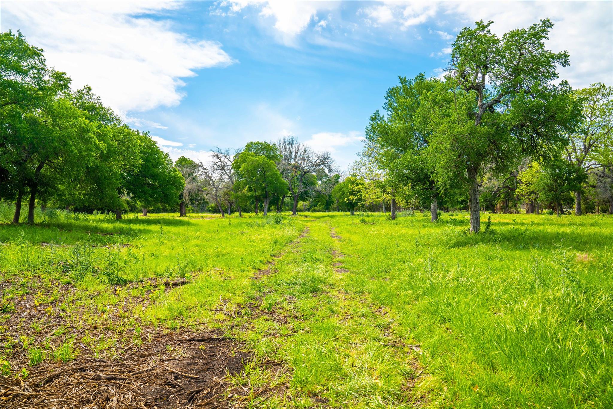 Tbd Tracts 5 And 6 Cr 251 Property Photo 11