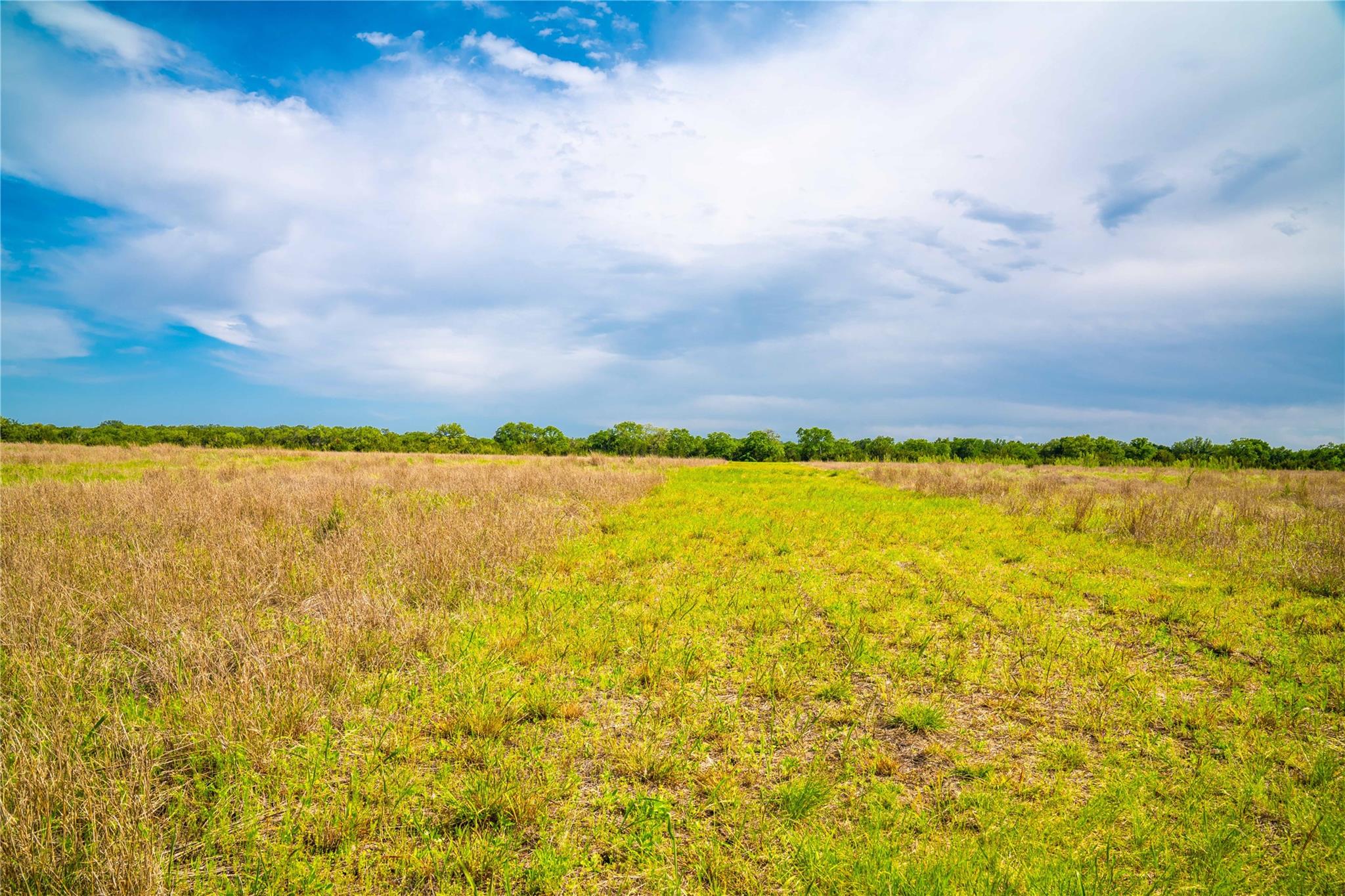 Tbd Tracts 5 And 6 Cr 251 Property Photo 14